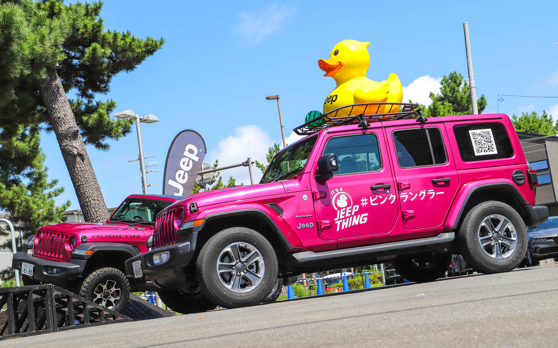 日本を巡るピンクラングラーに会えたらラッキー！