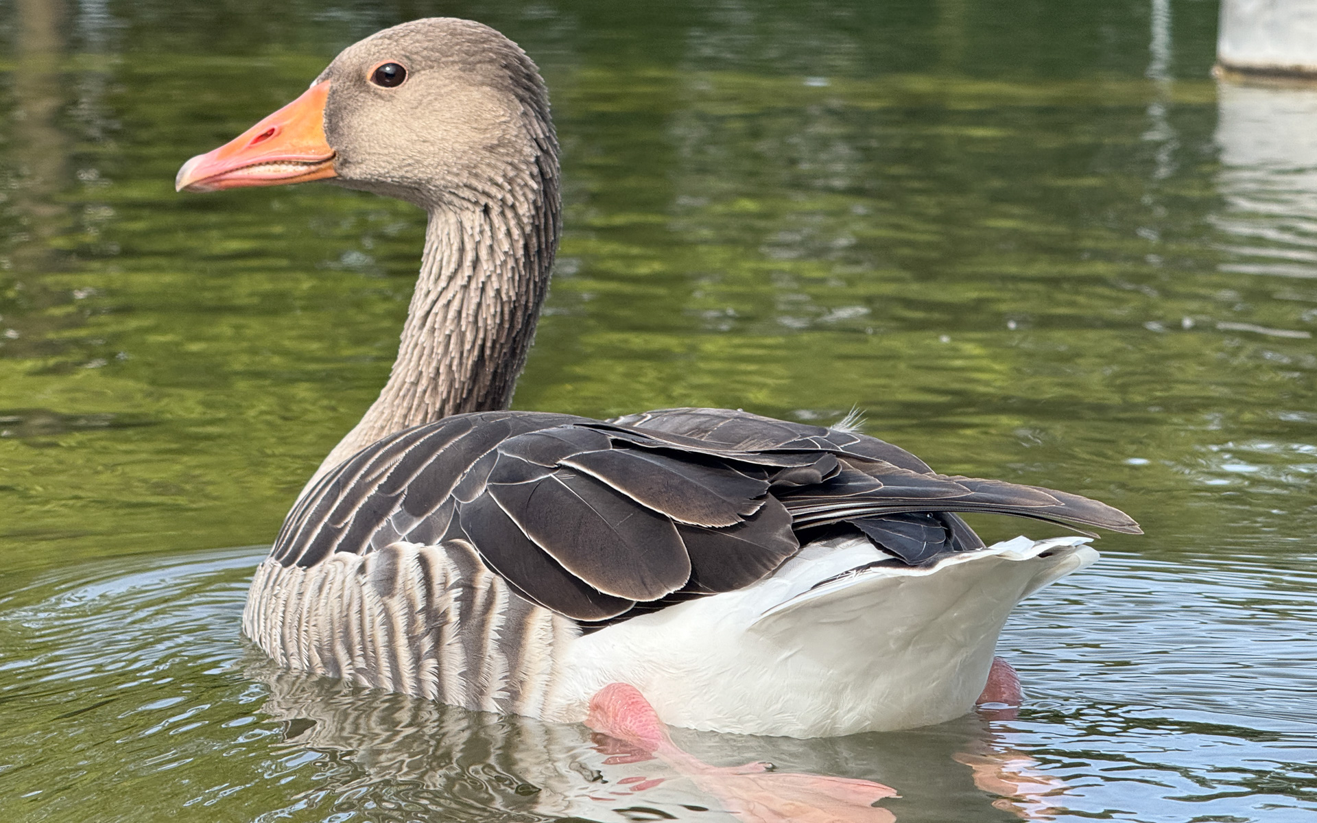 写真は本文と関係ありませんが、「IAAモビリティ2025」会場で撮影した1枚