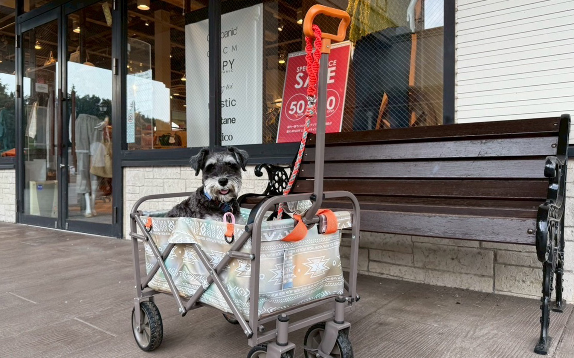 雨が降ってもお散歩代わりにぶらぶらと歩いて、愛犬と一緒にウインドウショッピングが楽しめる那須ガーデンアウトレット。リード装着は基本で、抱っこやカートで一緒に入れるショップが多いのもうれしいところです