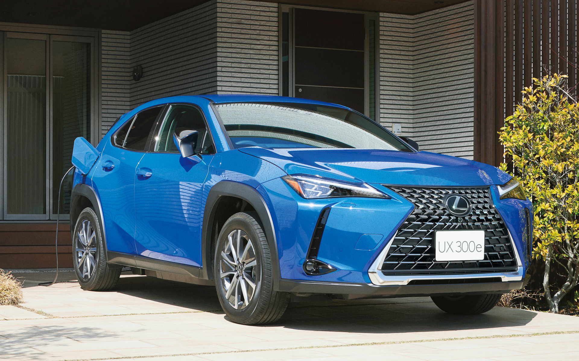 ベース車両であるUXとの外観上の違いはリアハッチに設置された車両エンブレムのほか、右リアフェンダーに普通充電ポートのリッドがあること。また、ボディカラーに2トーンカラーはなく、モノトーンの10種類をラインアップ