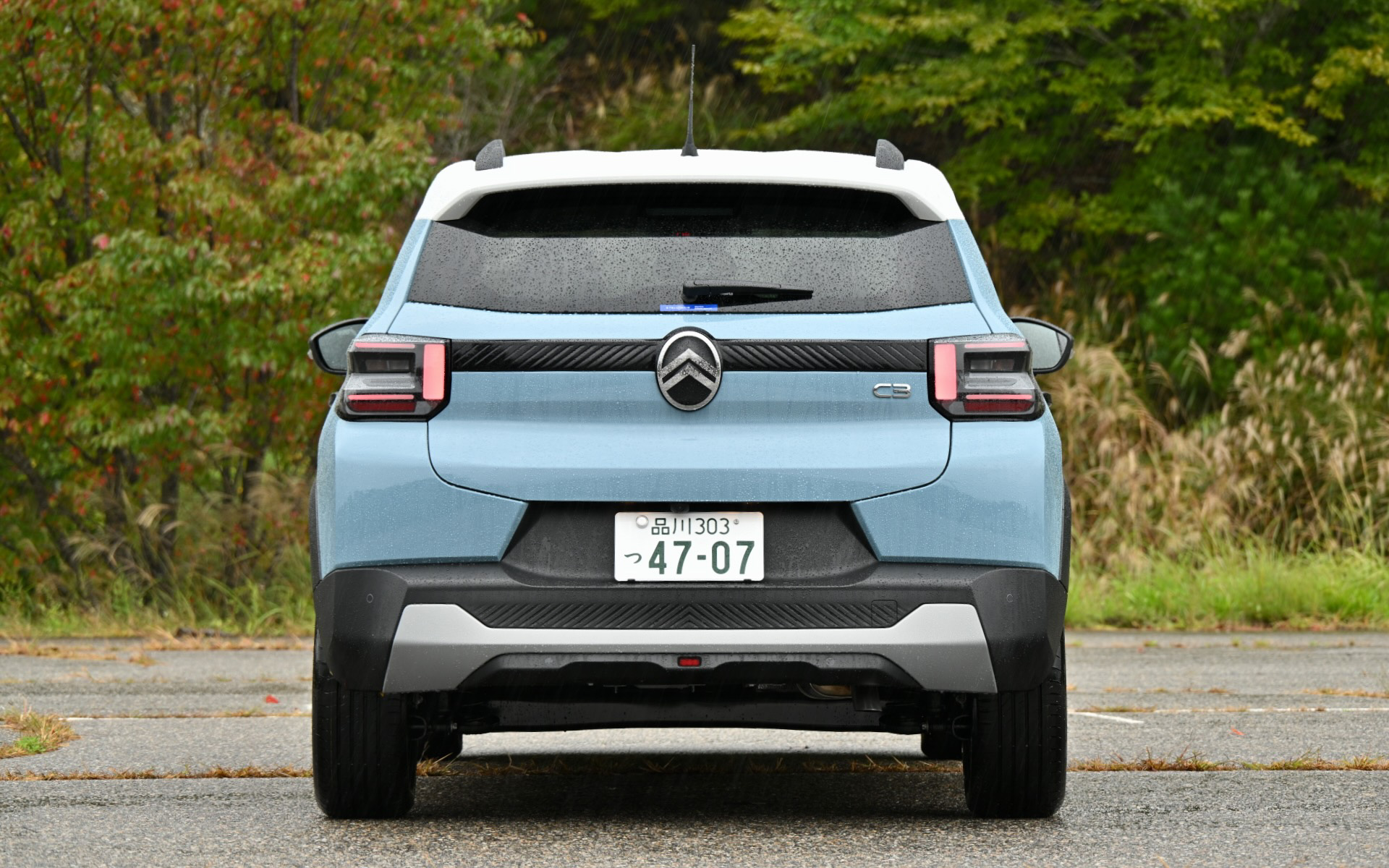 写真は「C3マックスハイブリッド」のブルーモンテカルロ/ホワイトのバイトーンルーフカラー