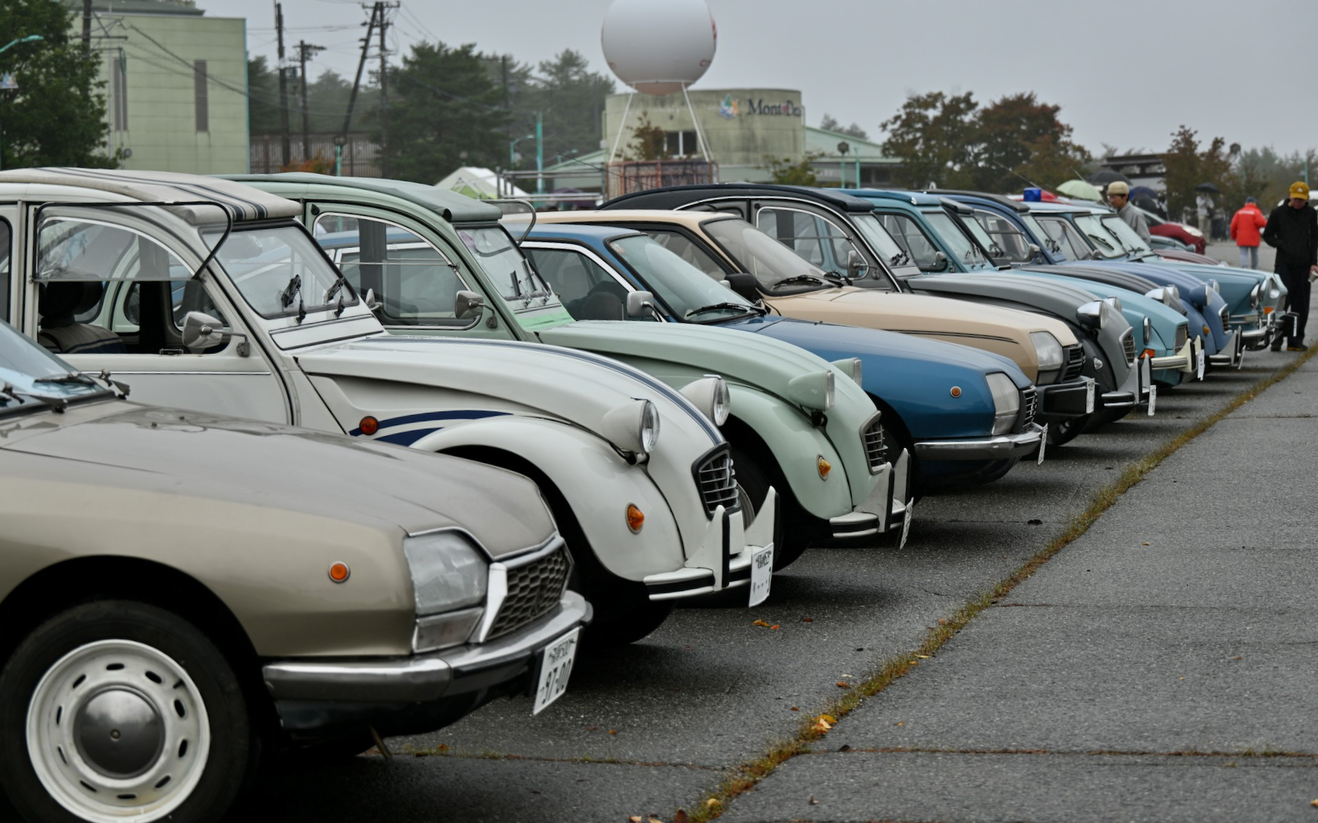 駐車スペースには、シトロエンらしいユニークな顔つきを持つ新旧各車両が並ぶ