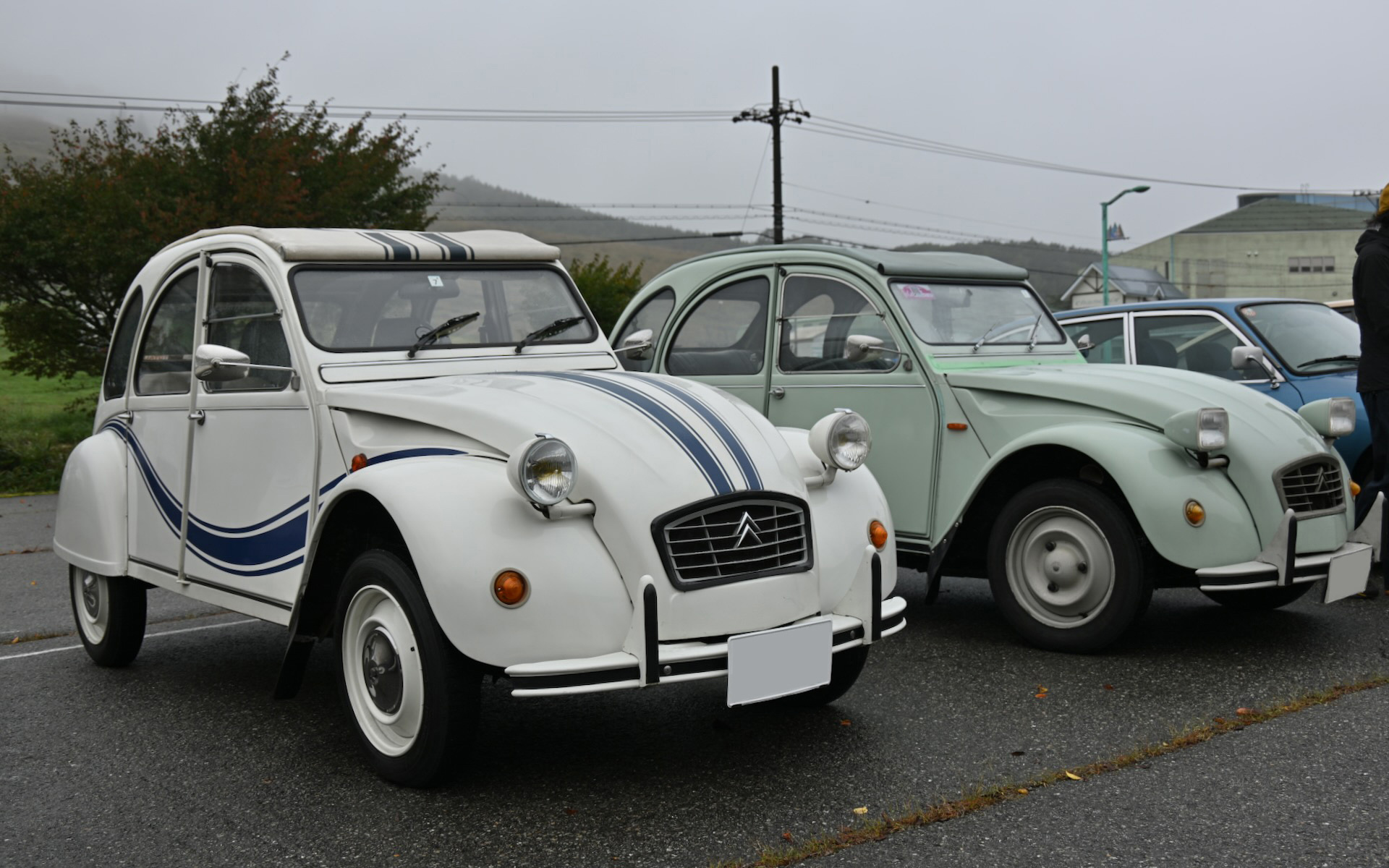 1985年に日本で登録された2CV。若い頃はGSとBXに乗っていたこともあり、生活に余裕ができた今また乗りたくなって購入したのがこの2CV。ホワイトのボディにブルーのラインが入ったスペシャルカラーのこのモデルは、当時日本に10台程度しか入ってきていない希少モデルという