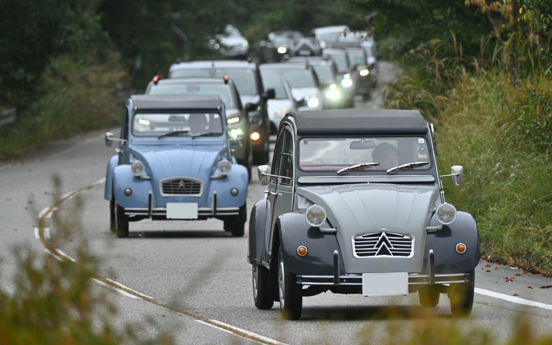 峠道を会場に向かって登ってくる2CVをはじめとする新旧シトロエンの参加車両たち。空冷のバタバタというサウンドが辺りに響き渡るのがいい
