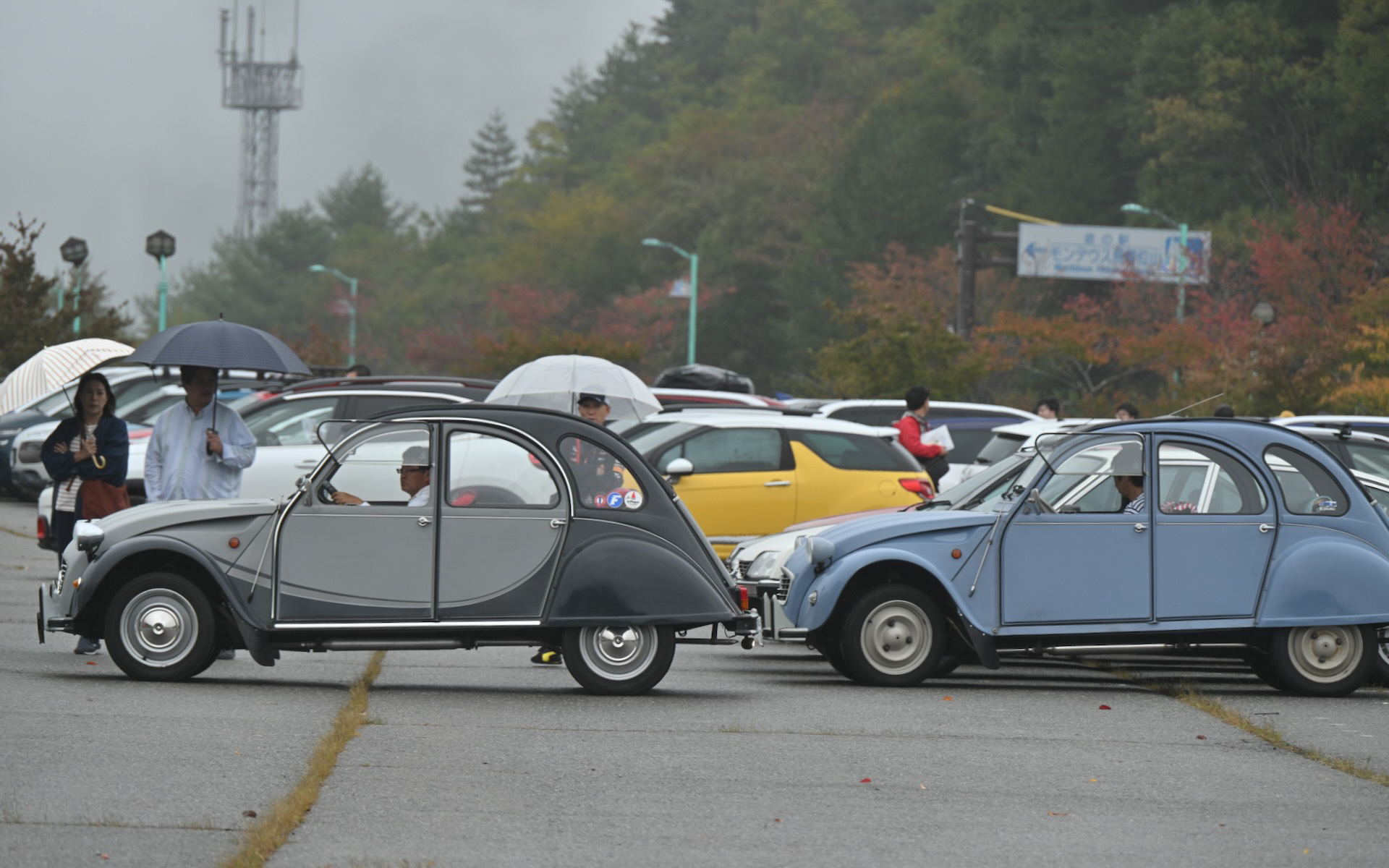 指定位置に駐車する2台の2CV