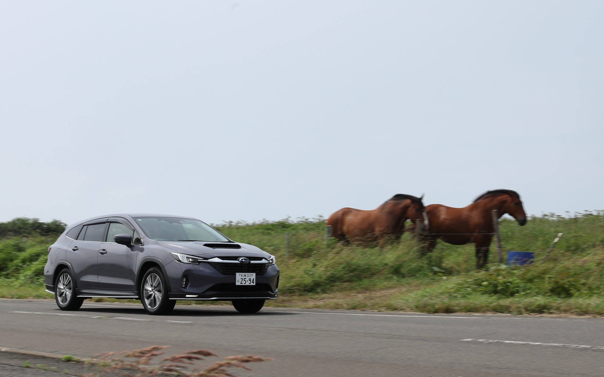 レヴォーグ レイバック