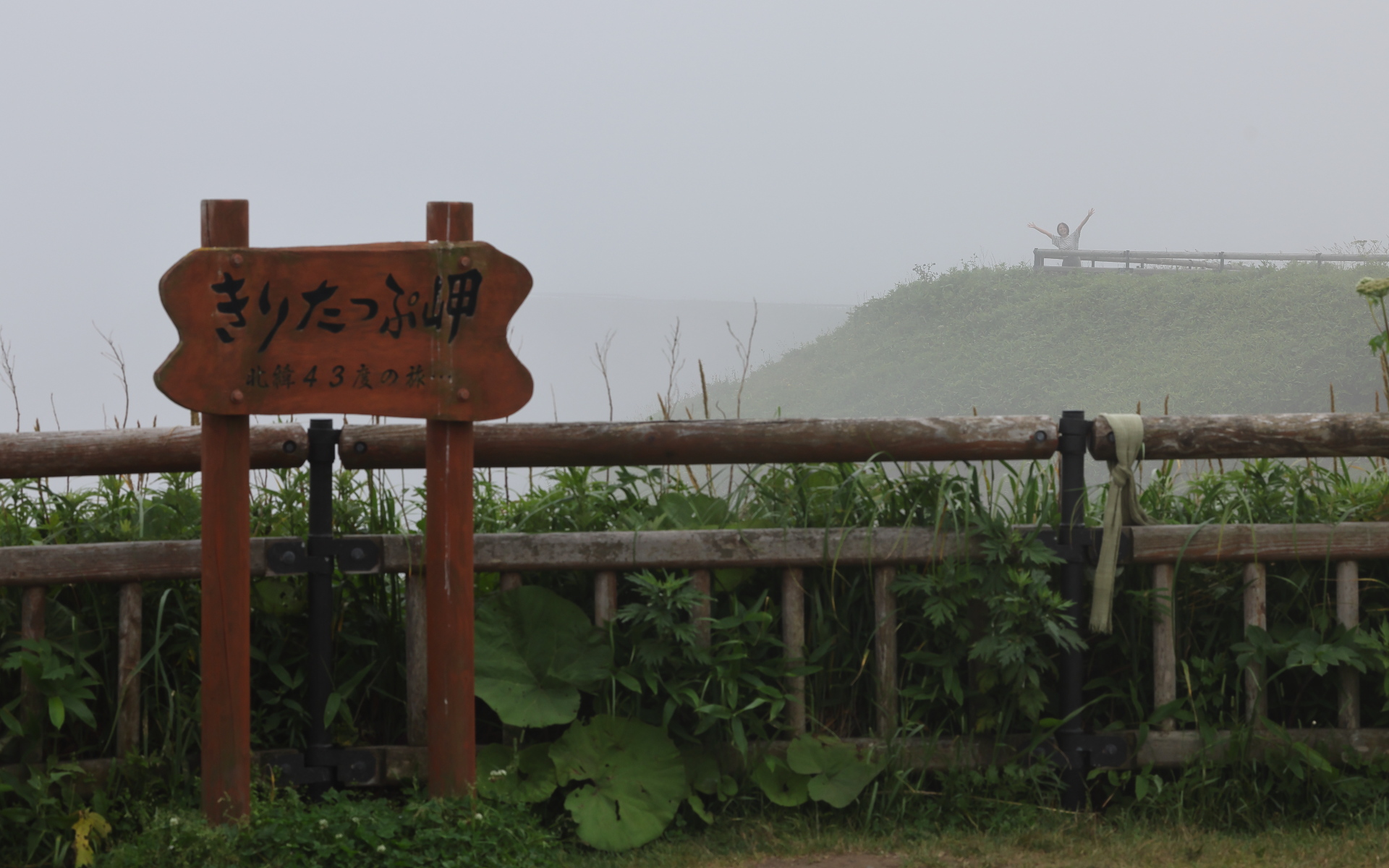 周辺は晴れていたのに、霧多布岬だけ見事に真っ白