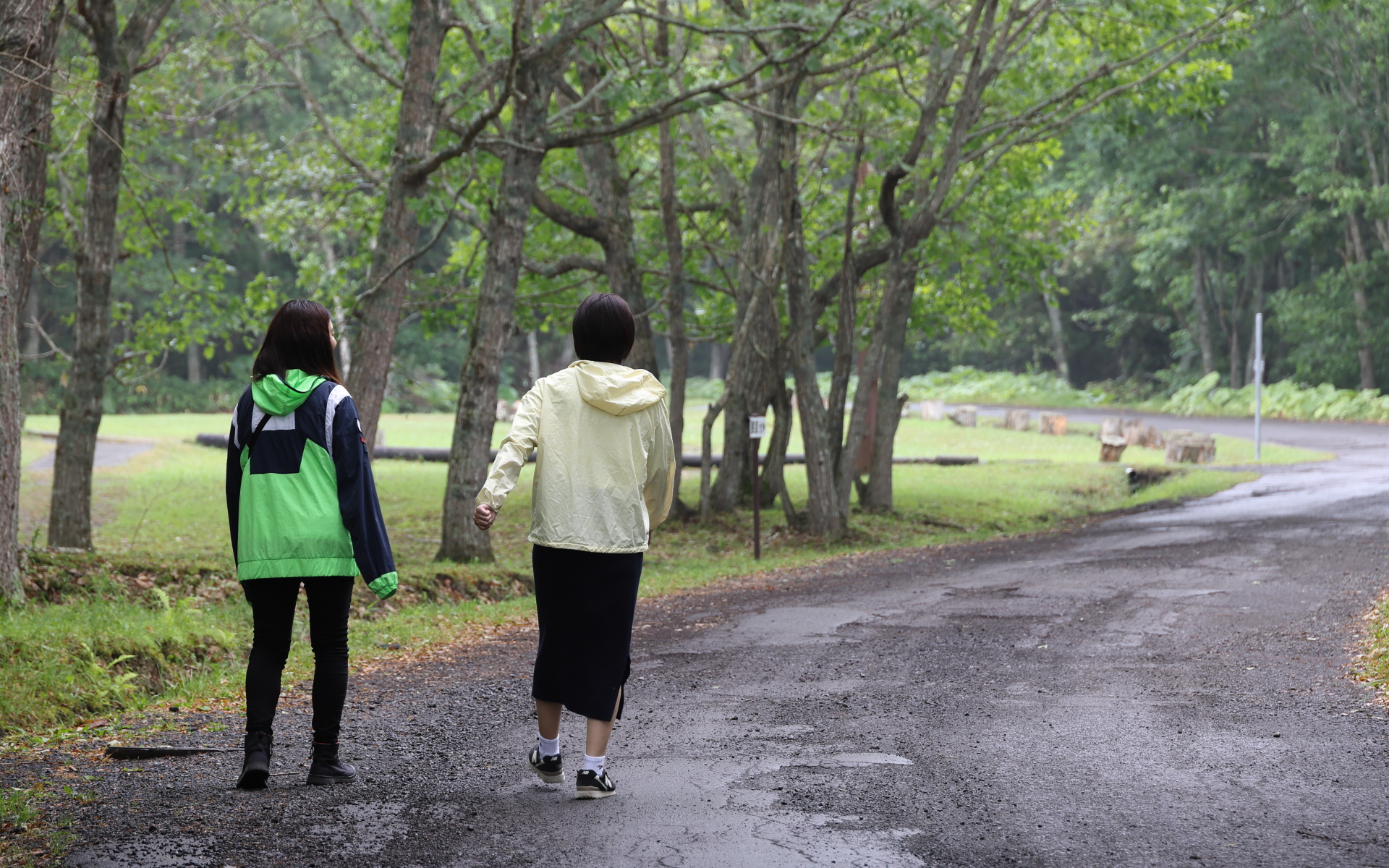 ひんやりした空気の中、駐車場から湿原を見渡せる展望台までもちょっとしたアトラクション
