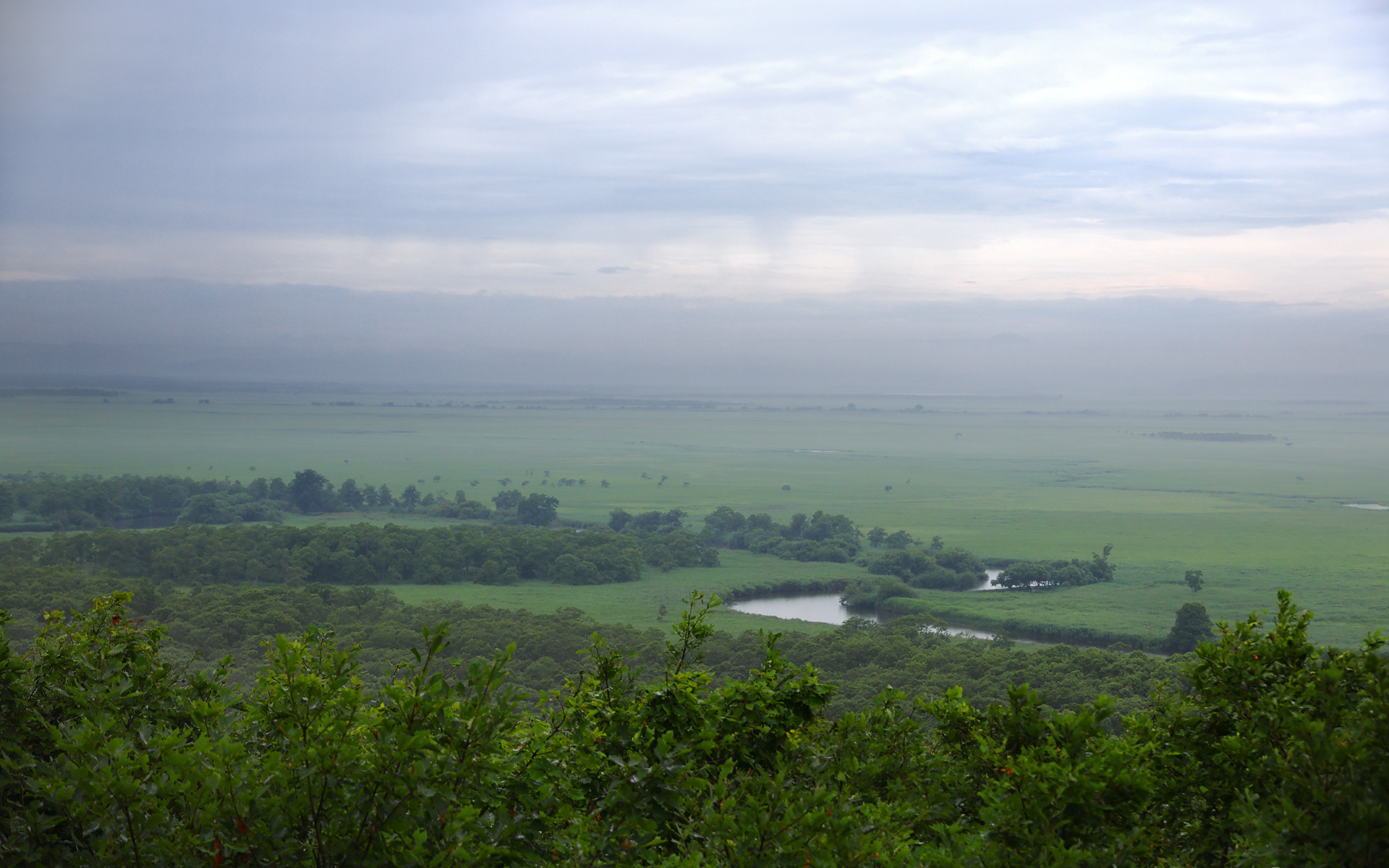 展望台からは雄大な景色が見渡せる