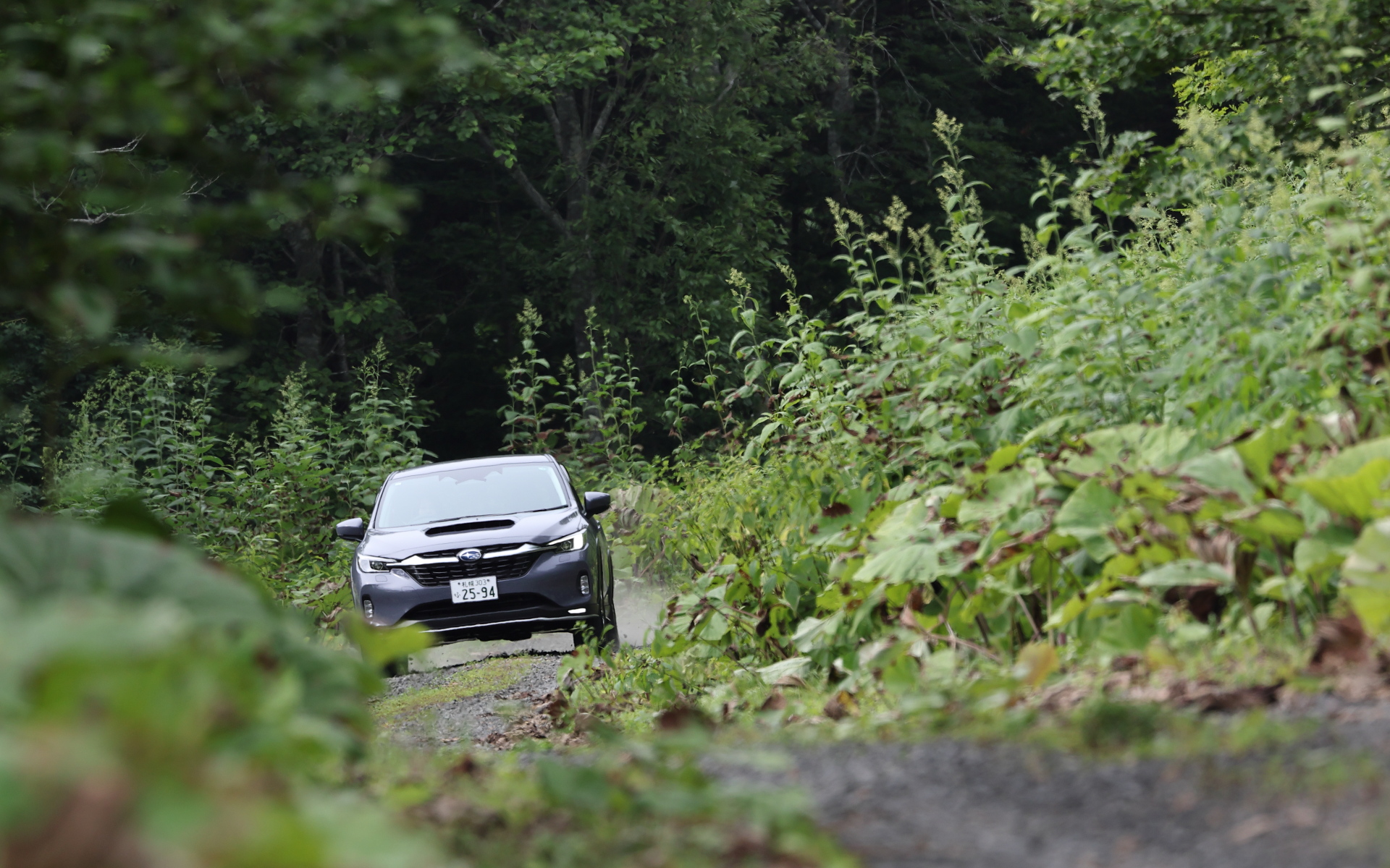 レヴォーグ レイバックでさまざまな景色を見ることができた