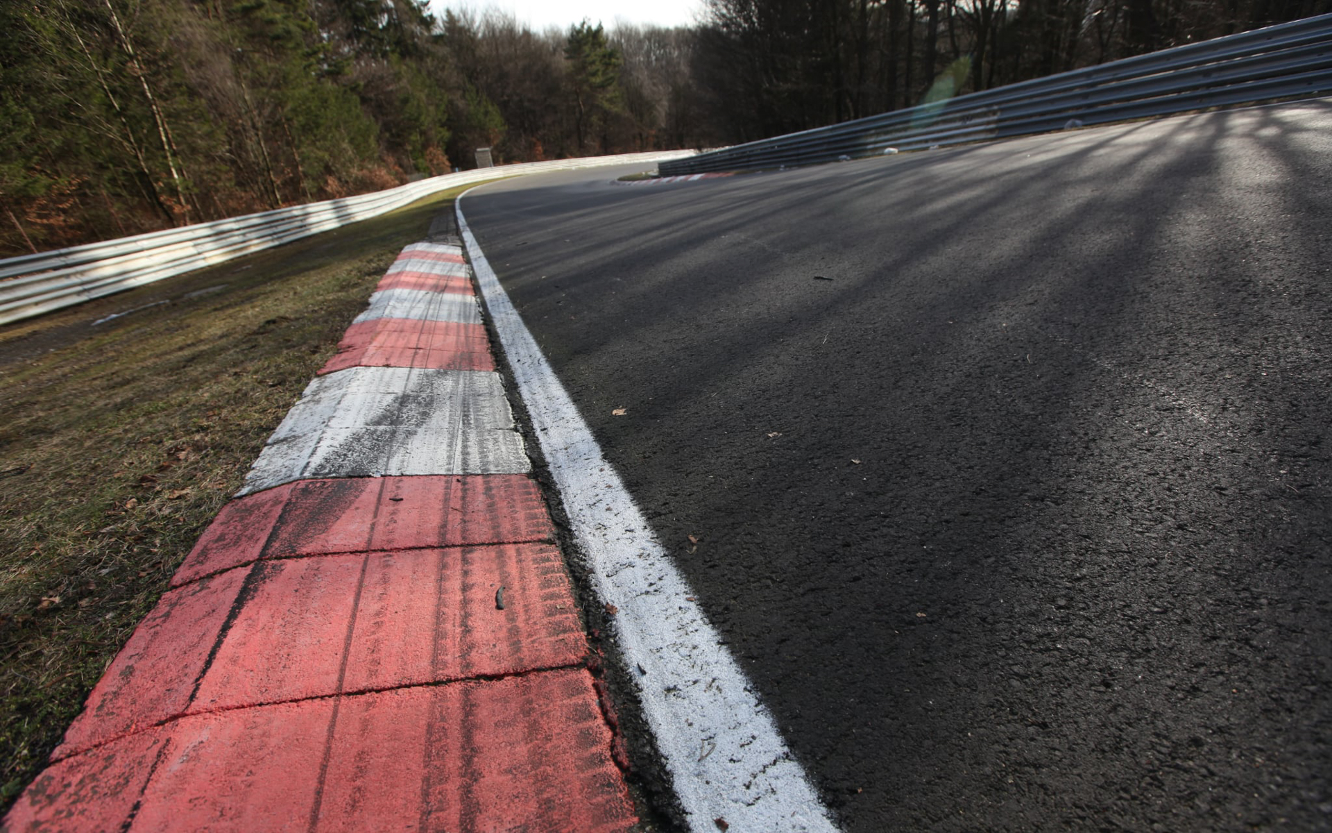 ニュルブルクリンクはとても危険なコース。モリゾウへ課せられた参加条件は「クラッシュしたら、即終了」だったという