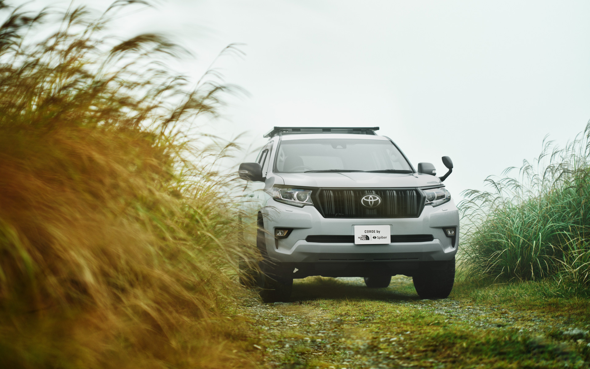 LAND CRUISER PRADO “NEWSCAPE” MELDE GRAY MODEL