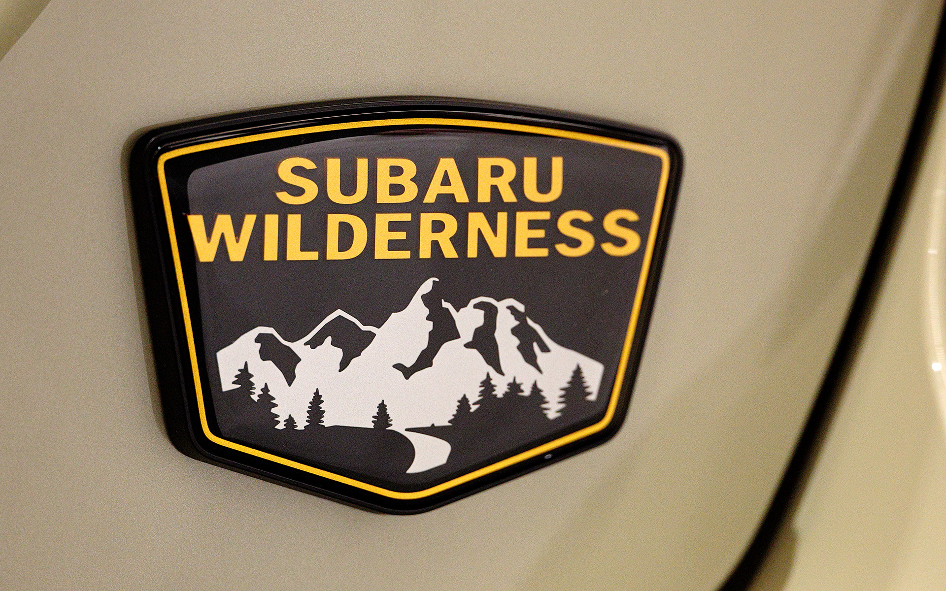 特殊塗装のカーゴステップパネルやウィルダネスエンブレムは特別仕様車専用装備