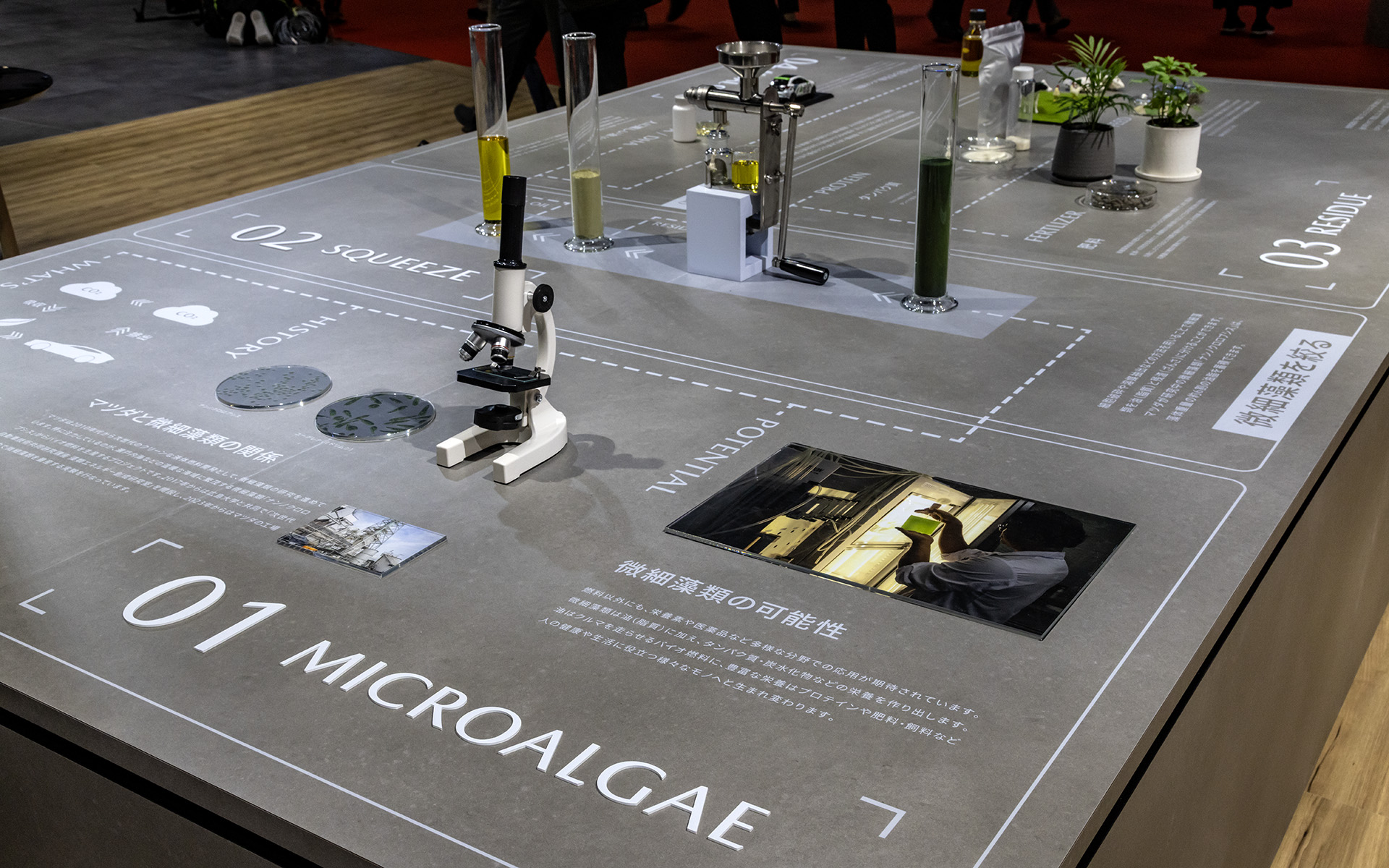 微細藻類由来の燃料などの展示