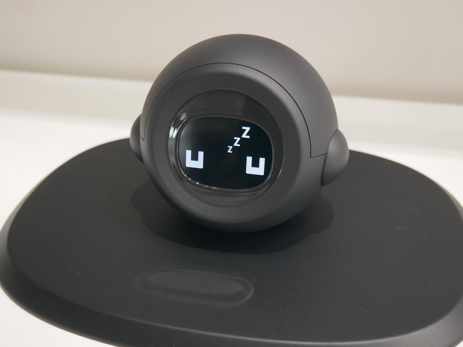 車室内に簡単に設置ができるパートナーロボ