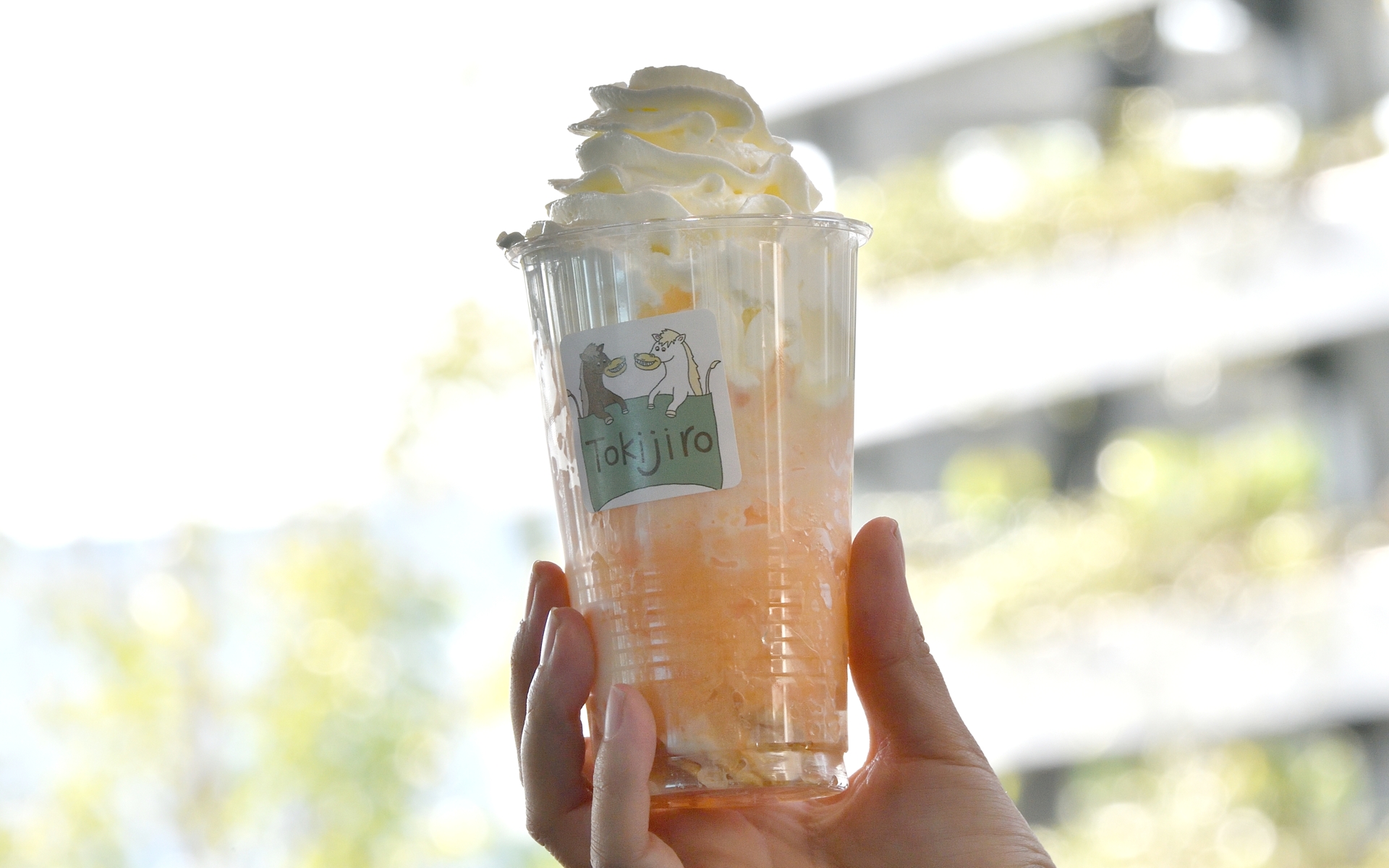 「夕張メロンけずり」900円