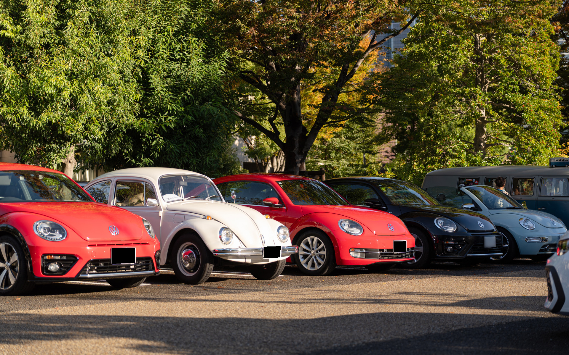 イベントは7時30分スタートと早い時間設定だったものの、80組のVWerが終結