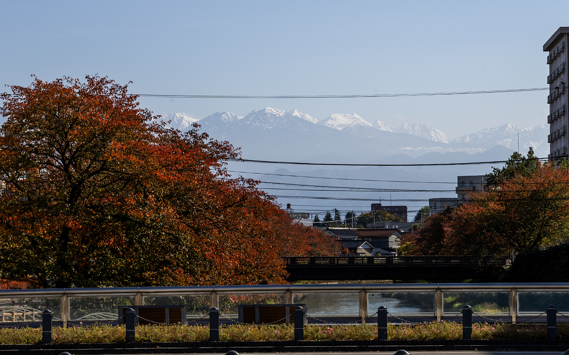 会場近くには立山連峰が見えるビュースポットがある。春には手前に桜が咲き、桜と山の風景が楽しめるそうだ