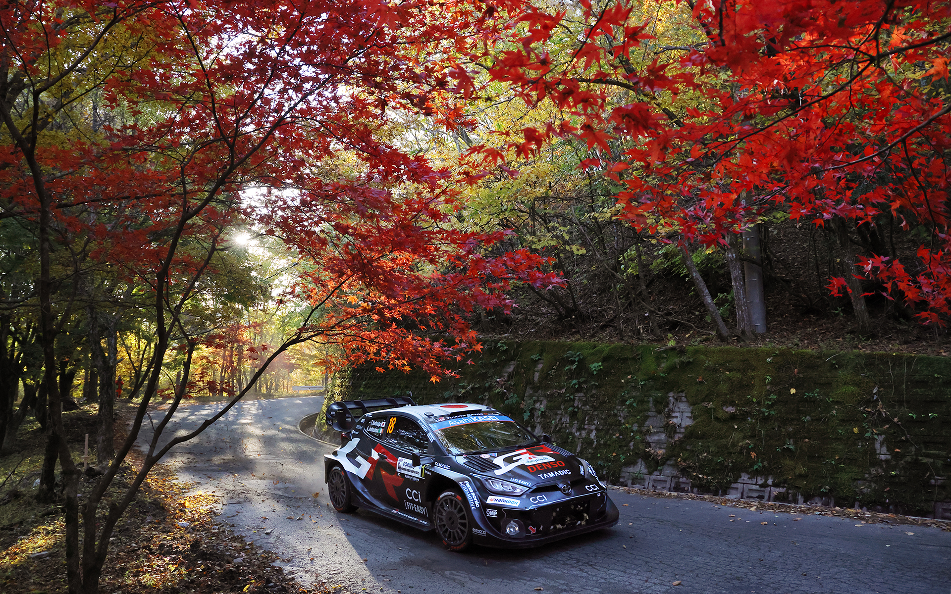 ラリージャパンを走る18号車 勝田貴元選手。日本の美しい秋の景色の中を、日本人ドライバーが世界のトップカテゴリーで走る。かつては夢だった光景をラリージャパンでは見られる