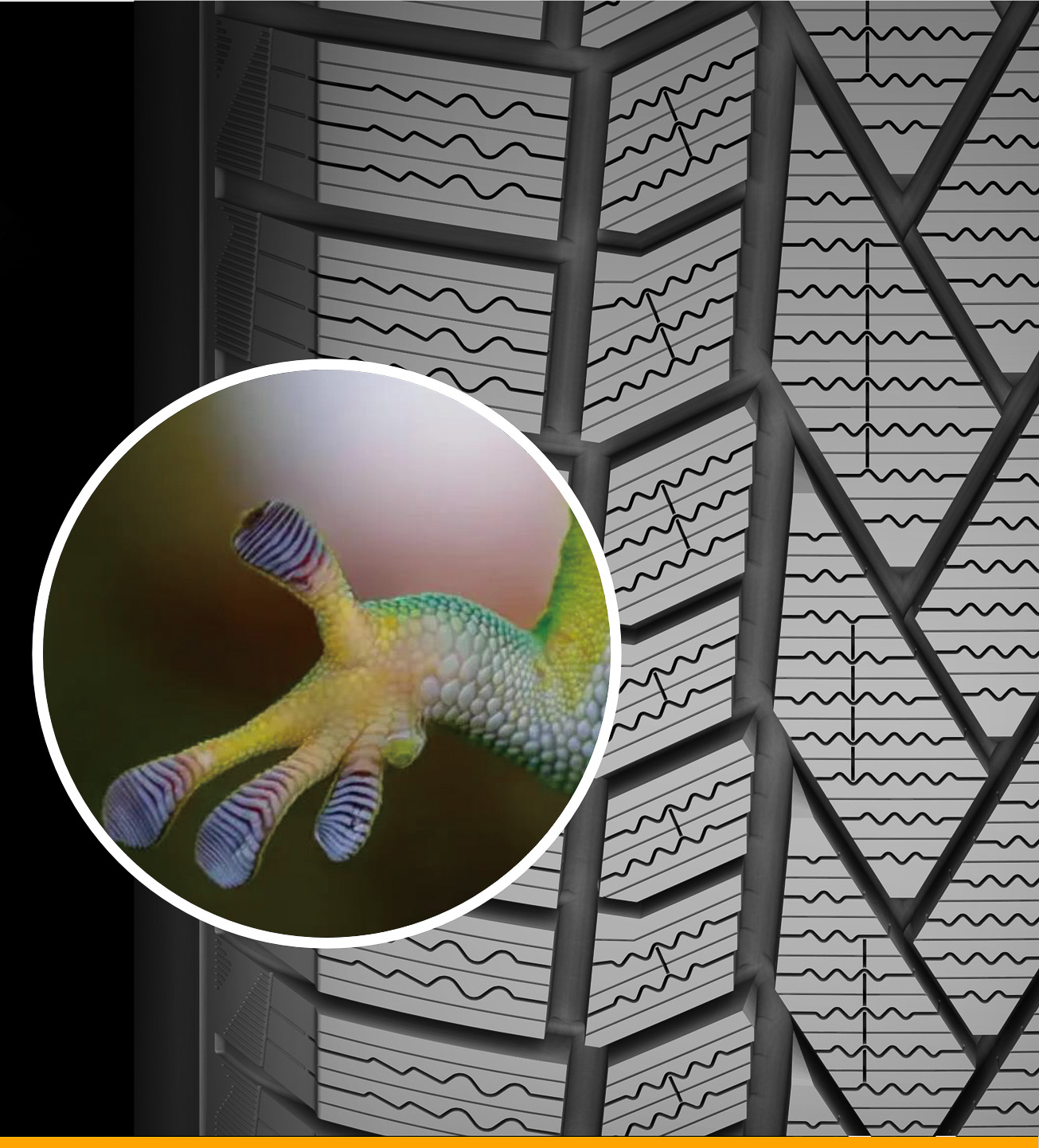 左右非対称を基調としたトレッドパターン「ゲッコー・グラブ・パターン 2.0」を採用