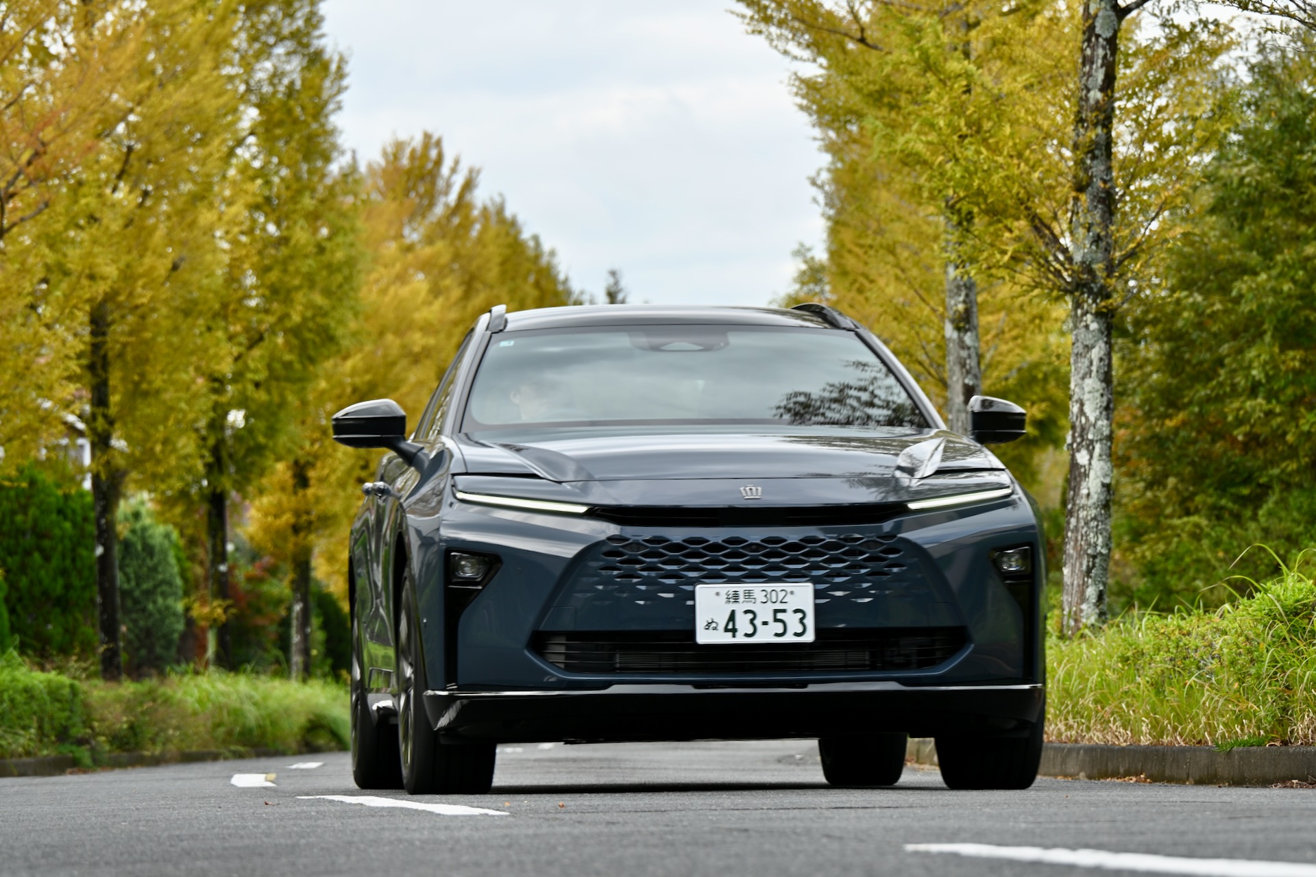 メタセコイアが紅葉し始めていた