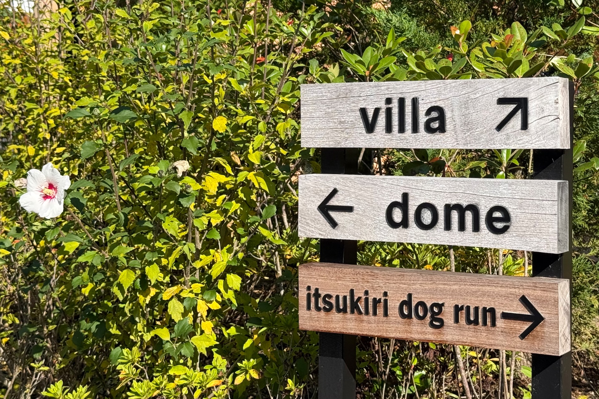 ホテル「五氣里-itsukiri-」には、グランピングのドームやドッグランも併設されている