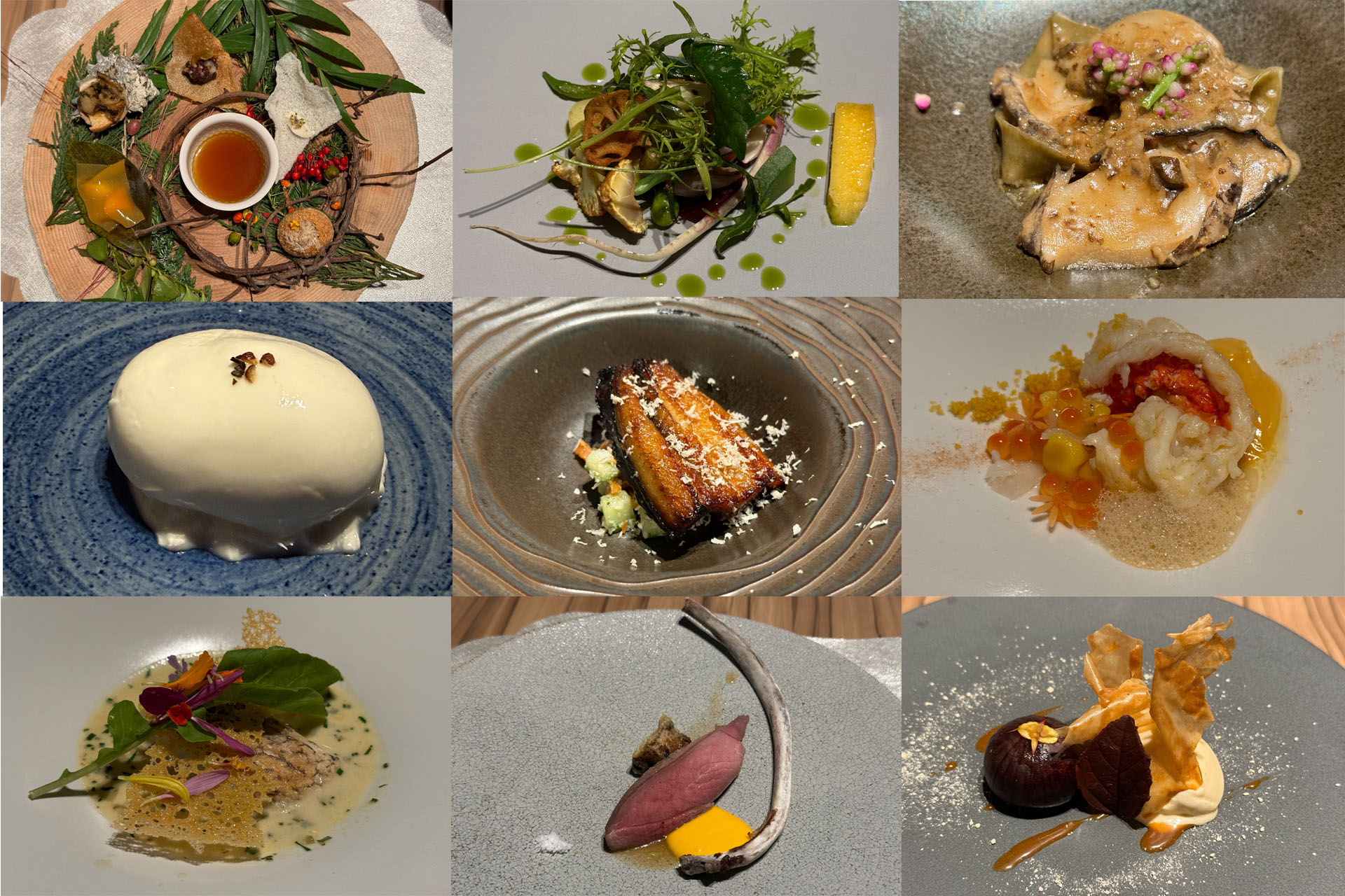 夕食のスターター（上写真）とそれに続く料理の数々（下写真。提供順は左上から右下）