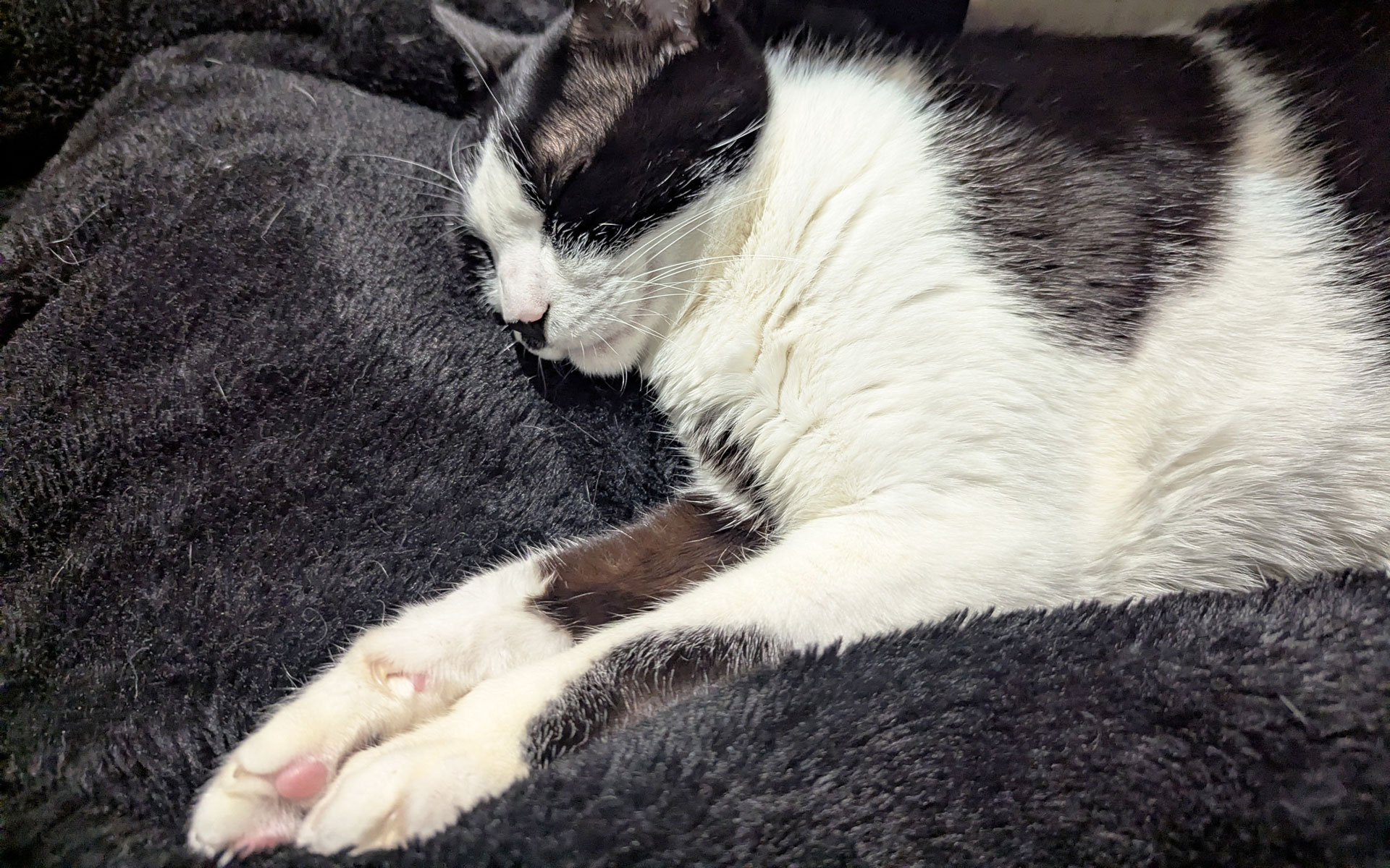 猫が足下でまぁるくなる季節がやってきました。Happy!