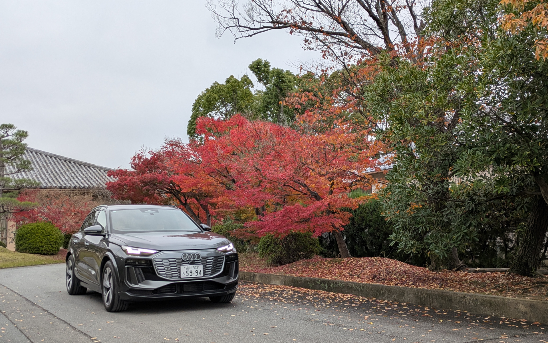 薬師寺から一般道へと出ていく最新輸入電動車たち。午前と午後に実施された試乗会では、モータージャーナリストも同乗してクルマの説明を行なっていた