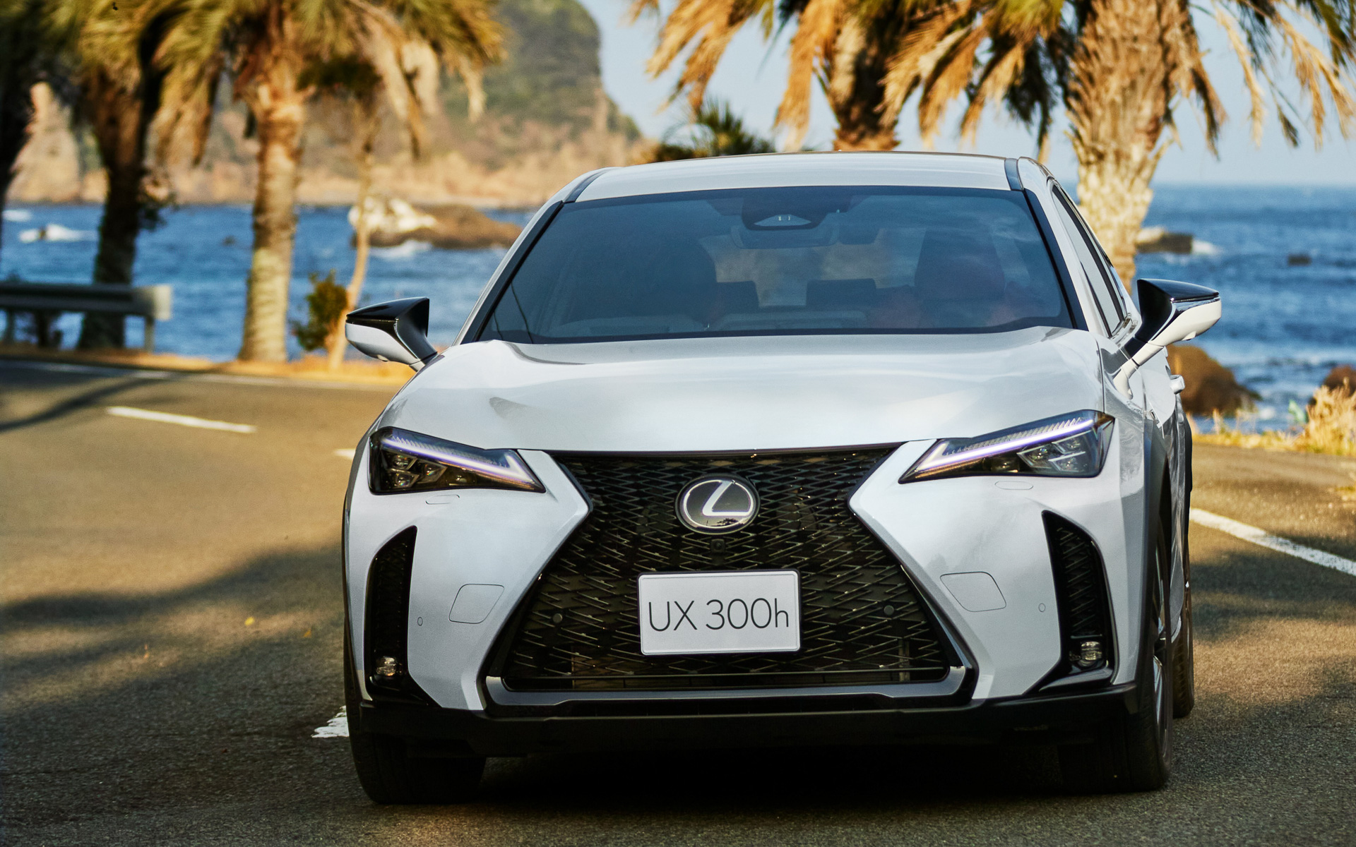 レクサス UX300h