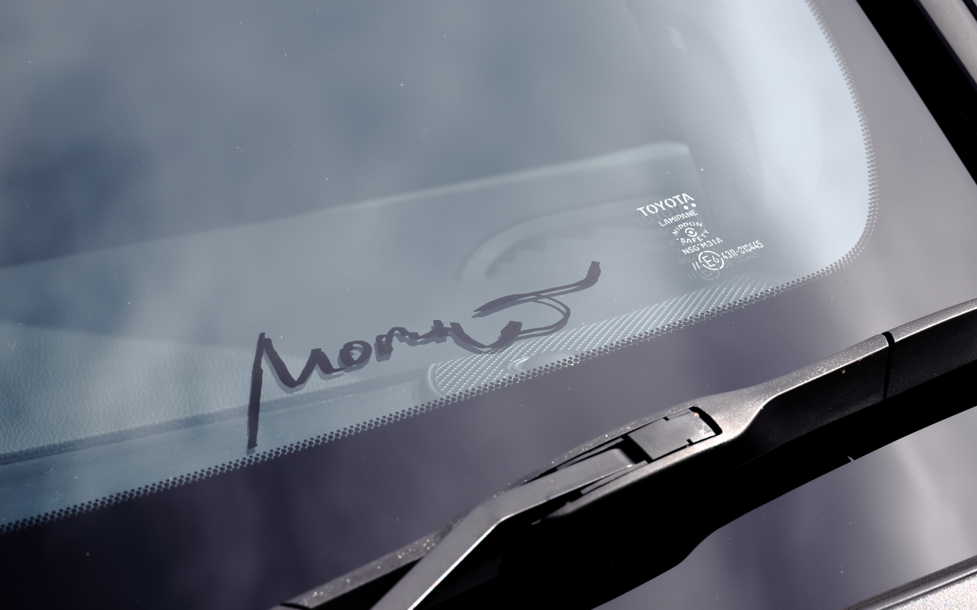 「RZハイパフォーマンスモリゾウセレクション」なので、フロントガラスには「モリゾウ」サインが刻まれている