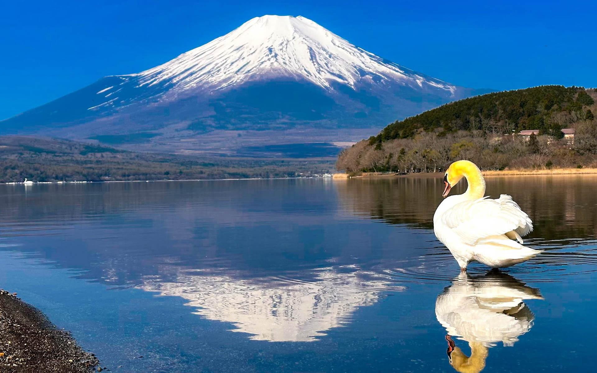 絶景ドライブが楽しめる