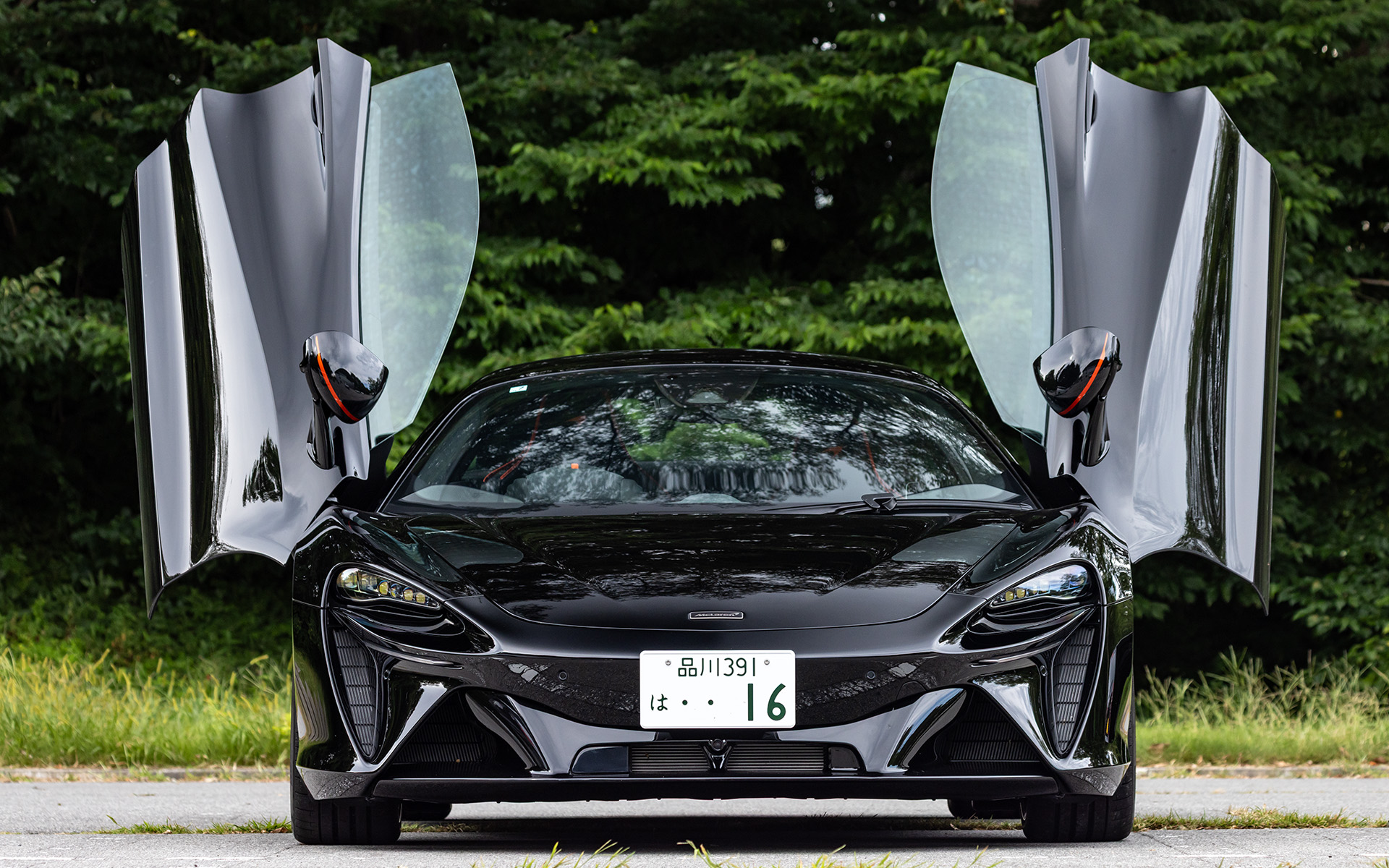 独特のディヘドラルドアは健在