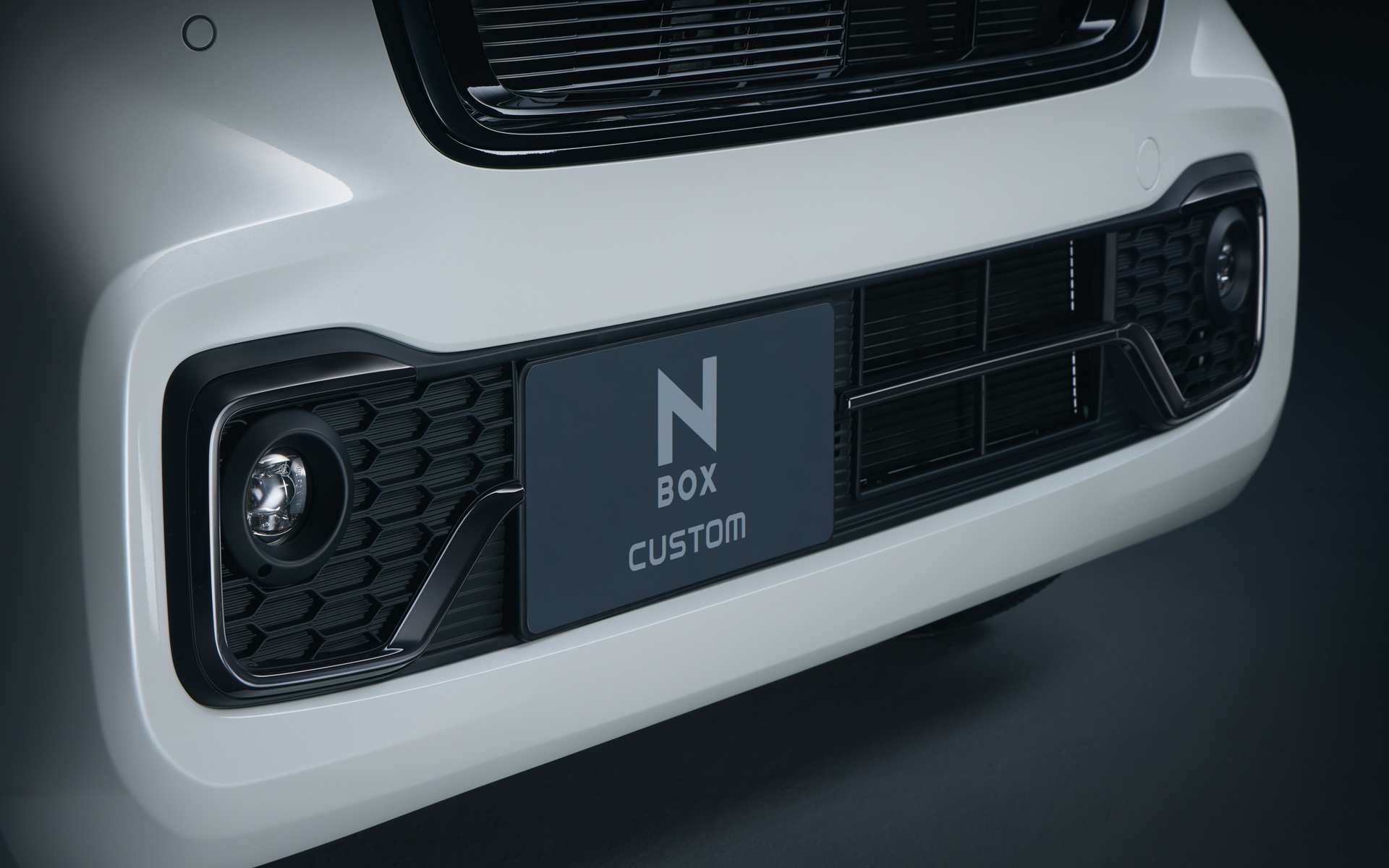 ベルリナブラック塗装のフォグライトガーニッシュ