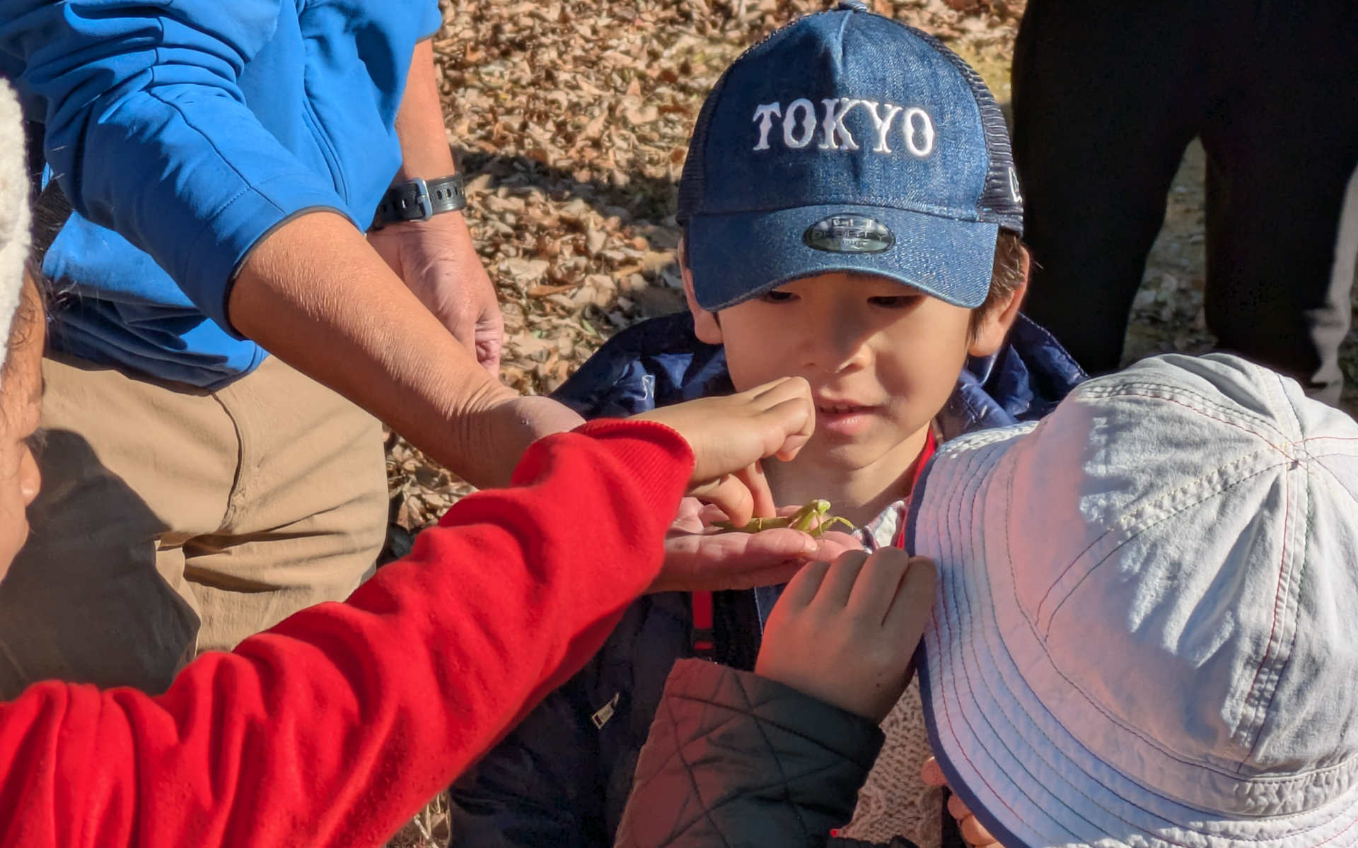 参加した子供たちは昆虫やどんぐりなど自然を満喫