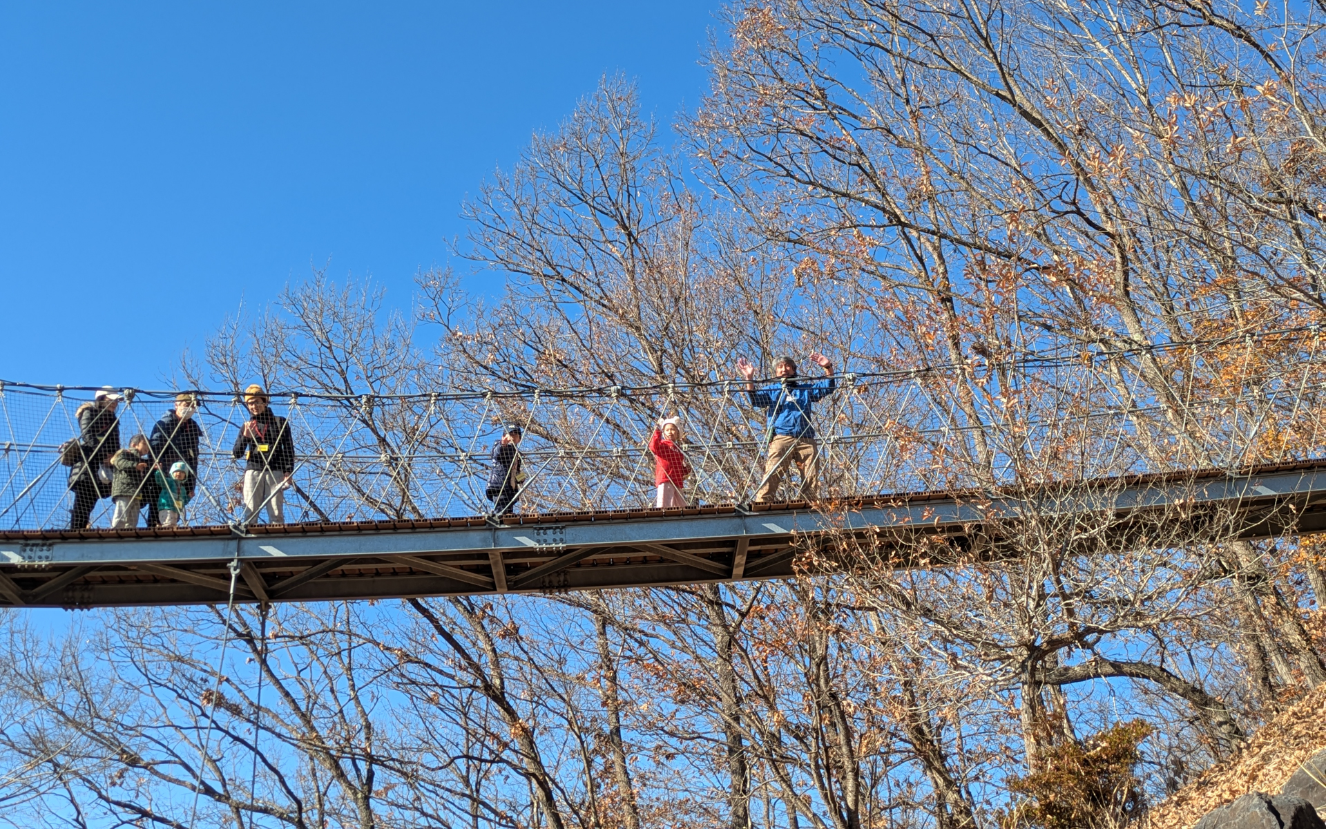 吊り橋をわたる経験もできる