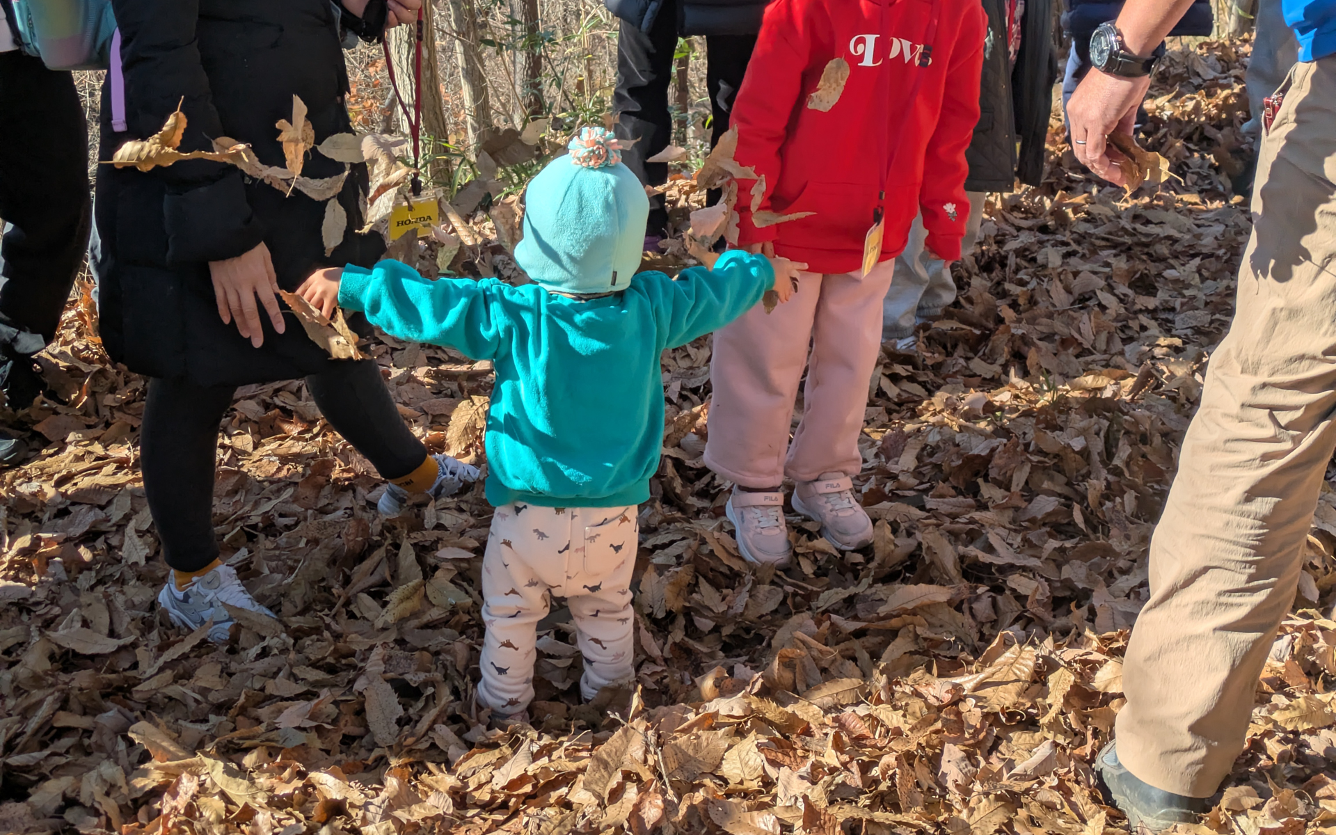 秋口は落ち葉のじゅうたんも楽しめる