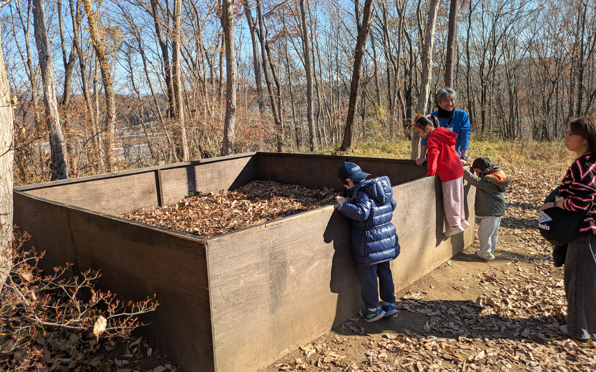 木枠に落ち葉をためてカブトムシの幼虫などが生息できる場所を作っている