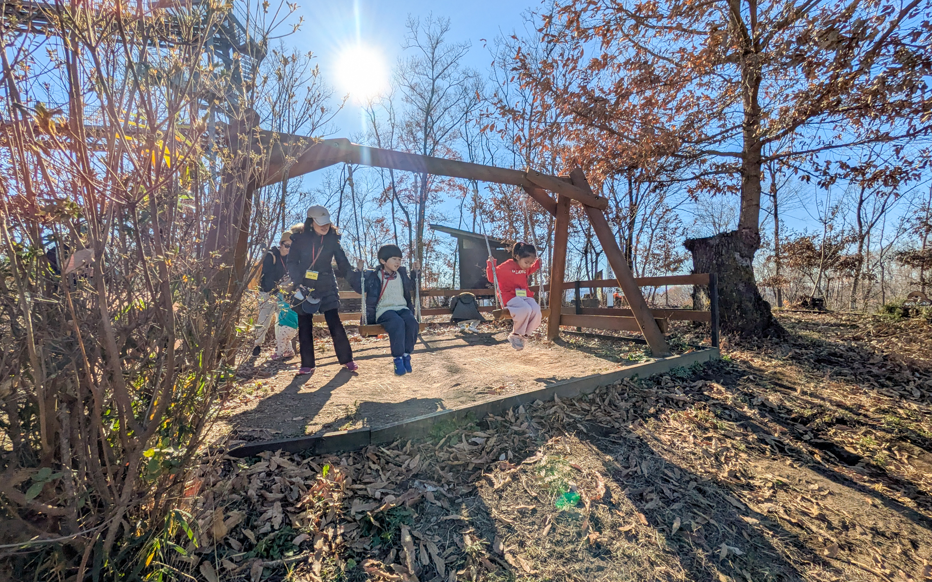 伐採した木で作ったブランコなども設置されている