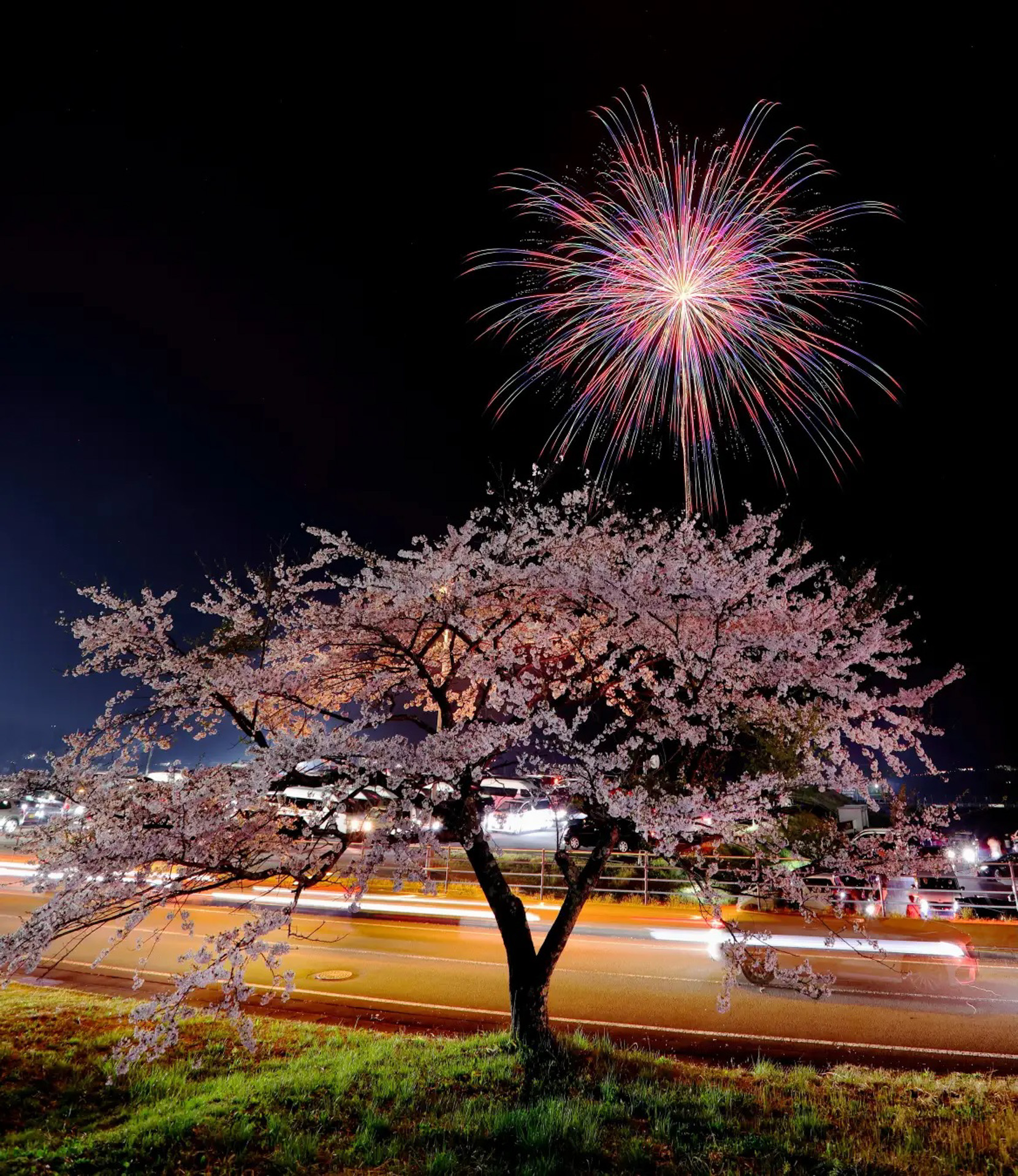 イベントの最大の見どころのひとつが「2尺玉」の打ち揚げ