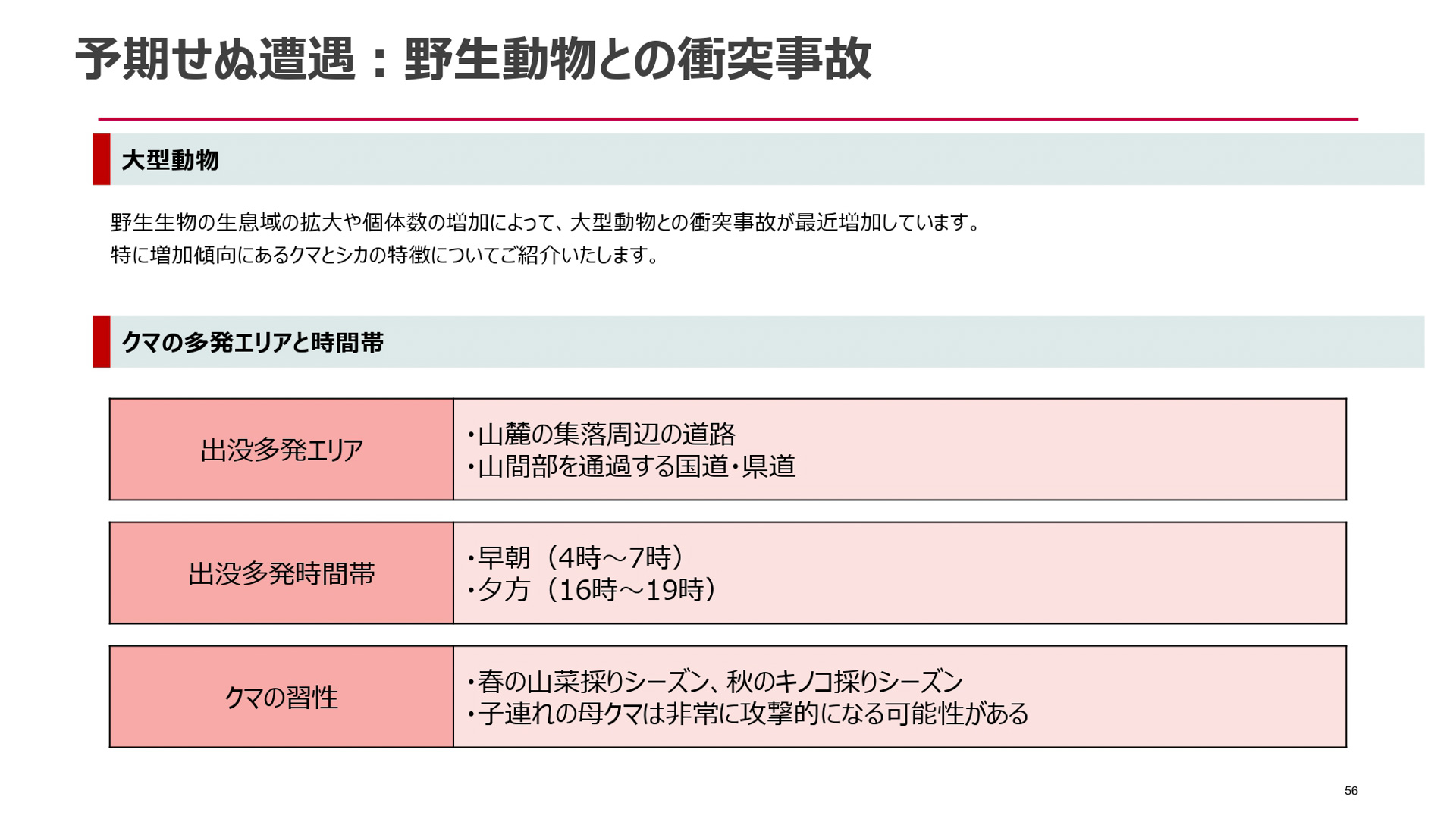 自然災害に関する自動車保険金請求のポイント