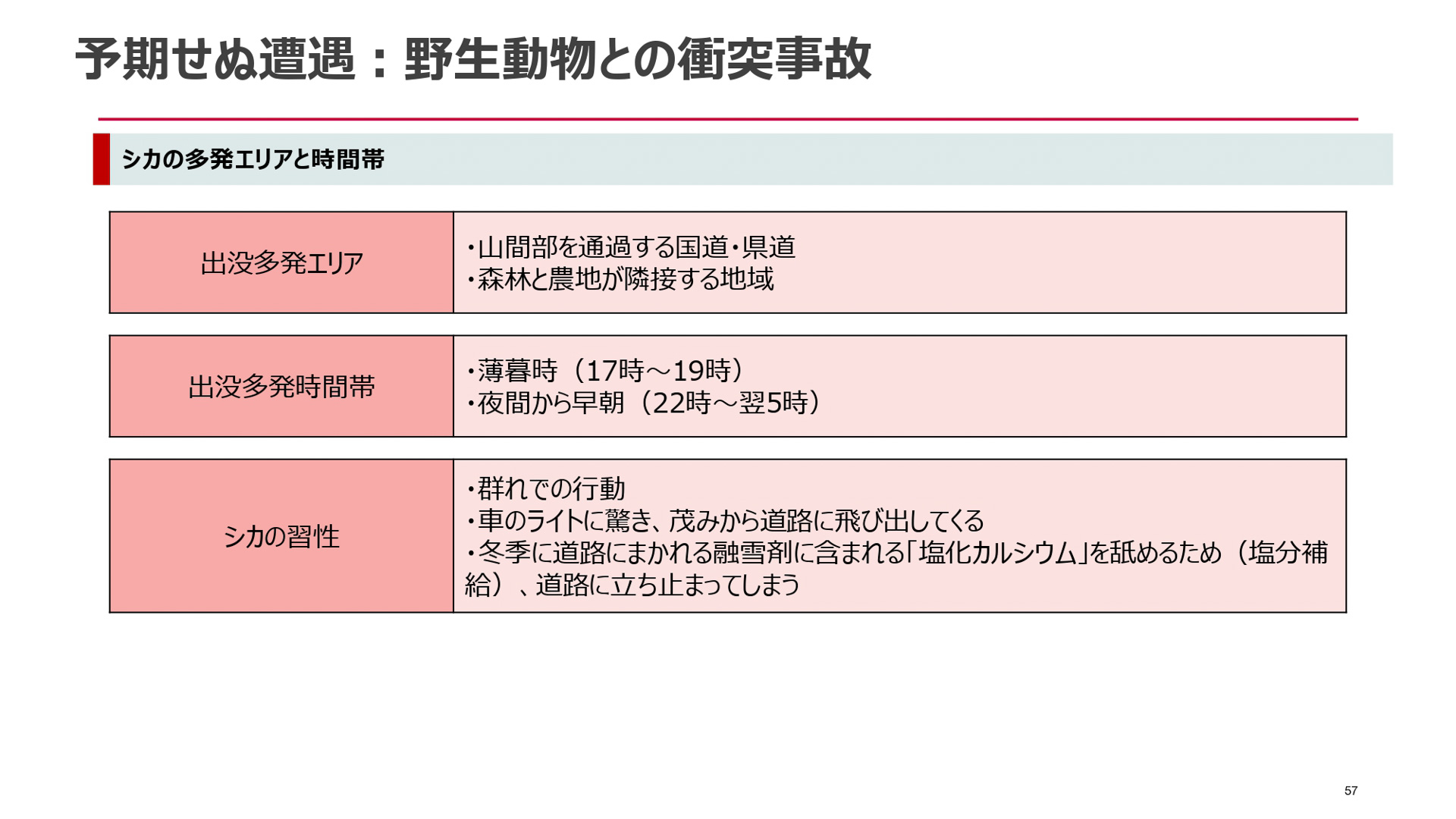 自然災害に関する自動車保険金請求のポイント