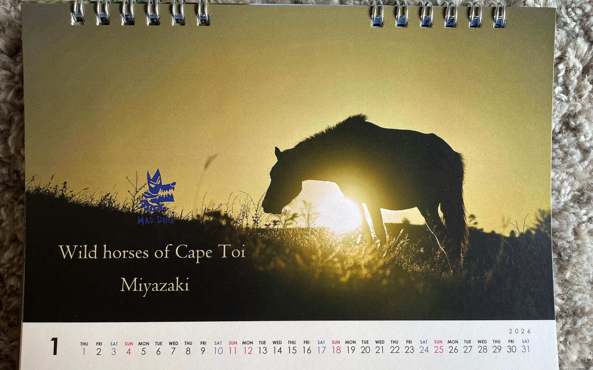 三好秀昌君の卓上カレンダー。1月は早朝、阿蘇の放牧地に放たれた馬だろうか。スリムな競争馬と違ってがっしりした馬体がたくましい
