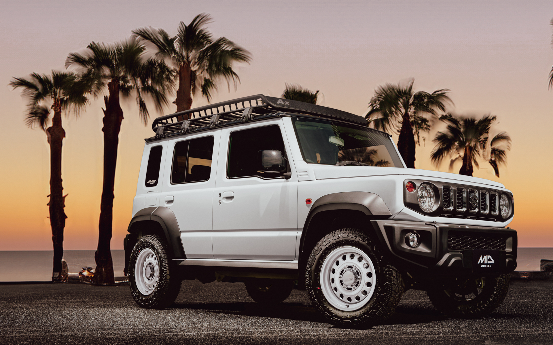 シスコTypeII装着イメージ