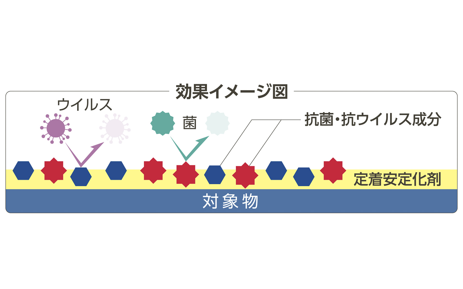 2種類の抗菌・抗ウイルス成分が定着安定化剤の効果で定着し、効果が約1週間持続する