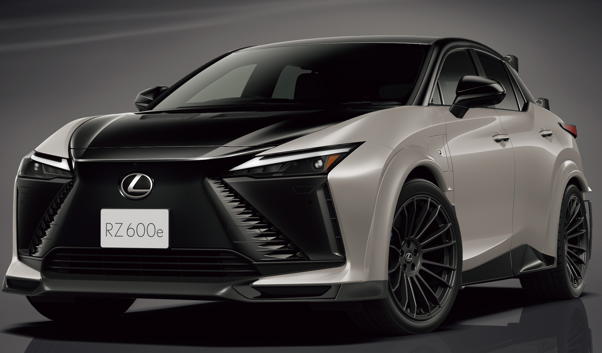 ブラック＆ニュートリノグレー