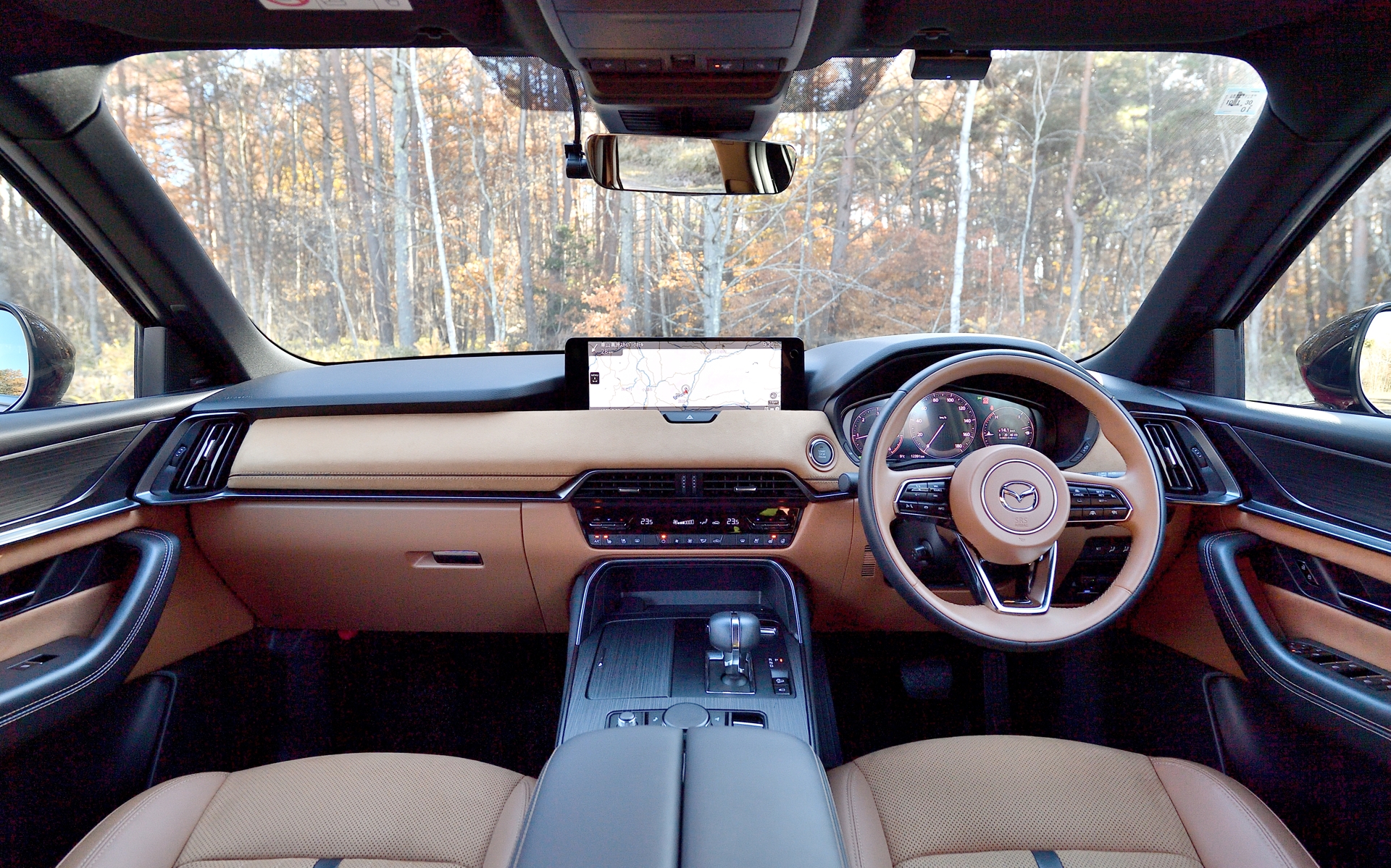 インテリアは上質さが感じられるタン内装