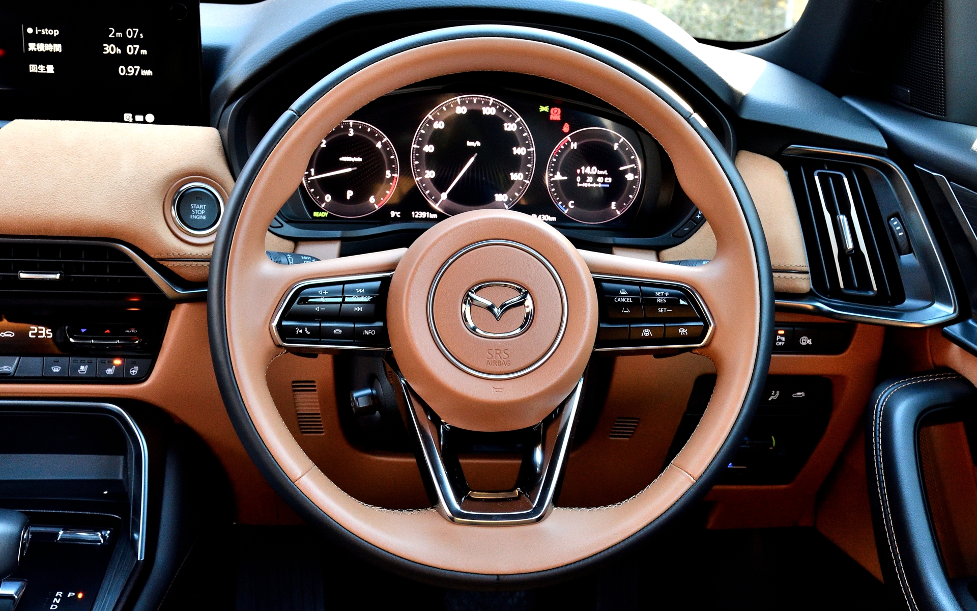 インテリアは上質さが感じられるタン内装