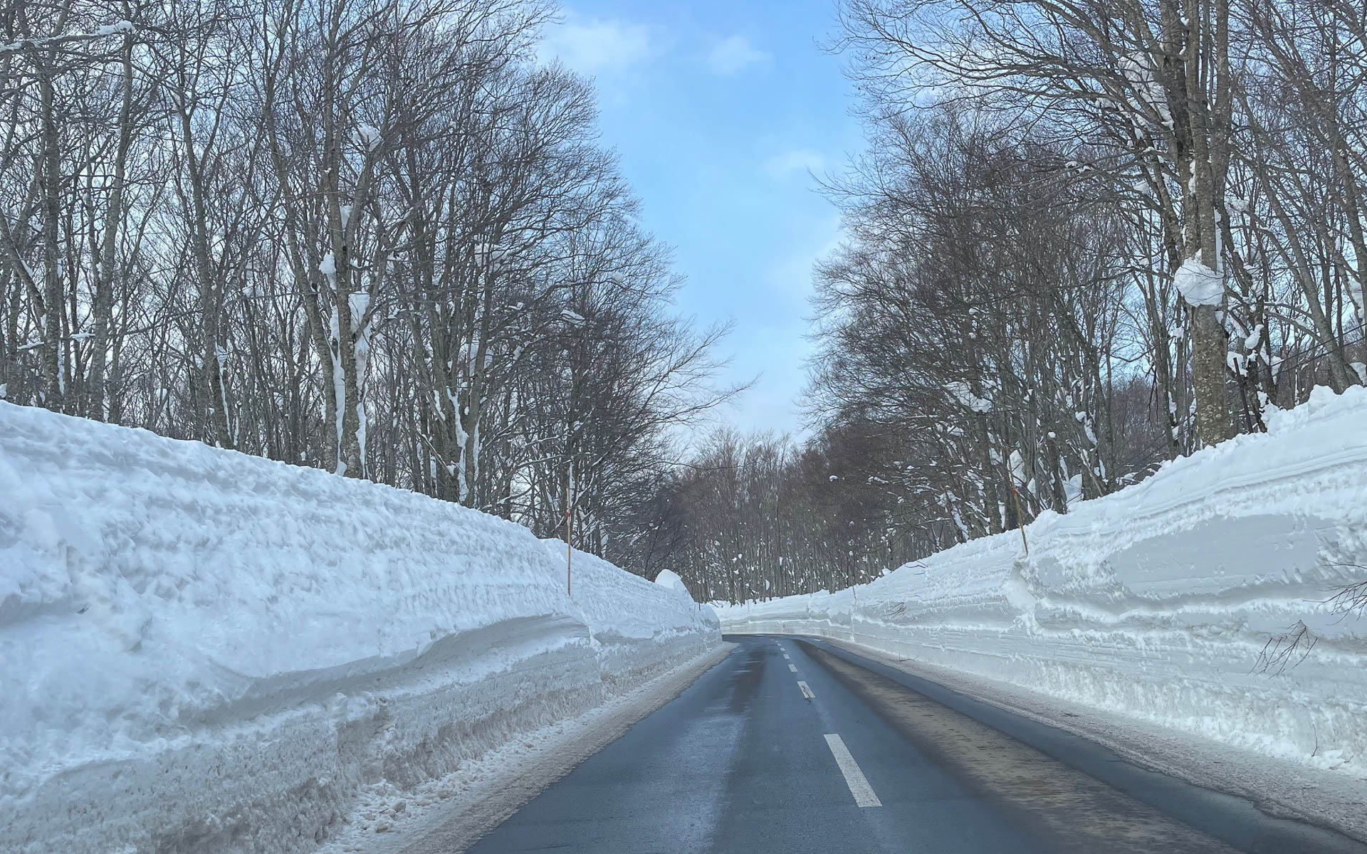 スバル雪上試乗会。残念ながら雪はなかったが八甲田に駆け上がる道は雪の壁で気持ちよかった