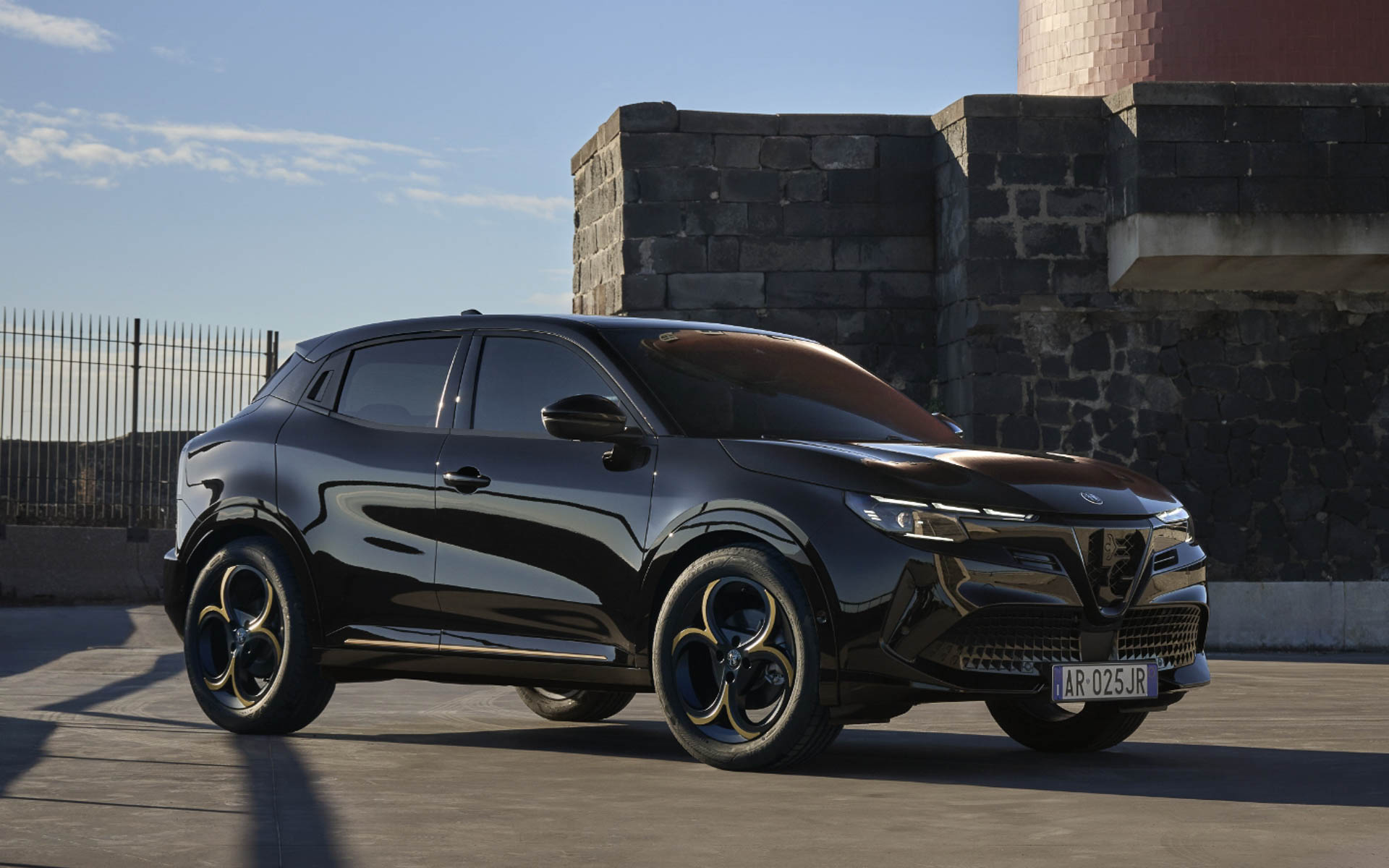 ジュニア イブリダ インテンサ